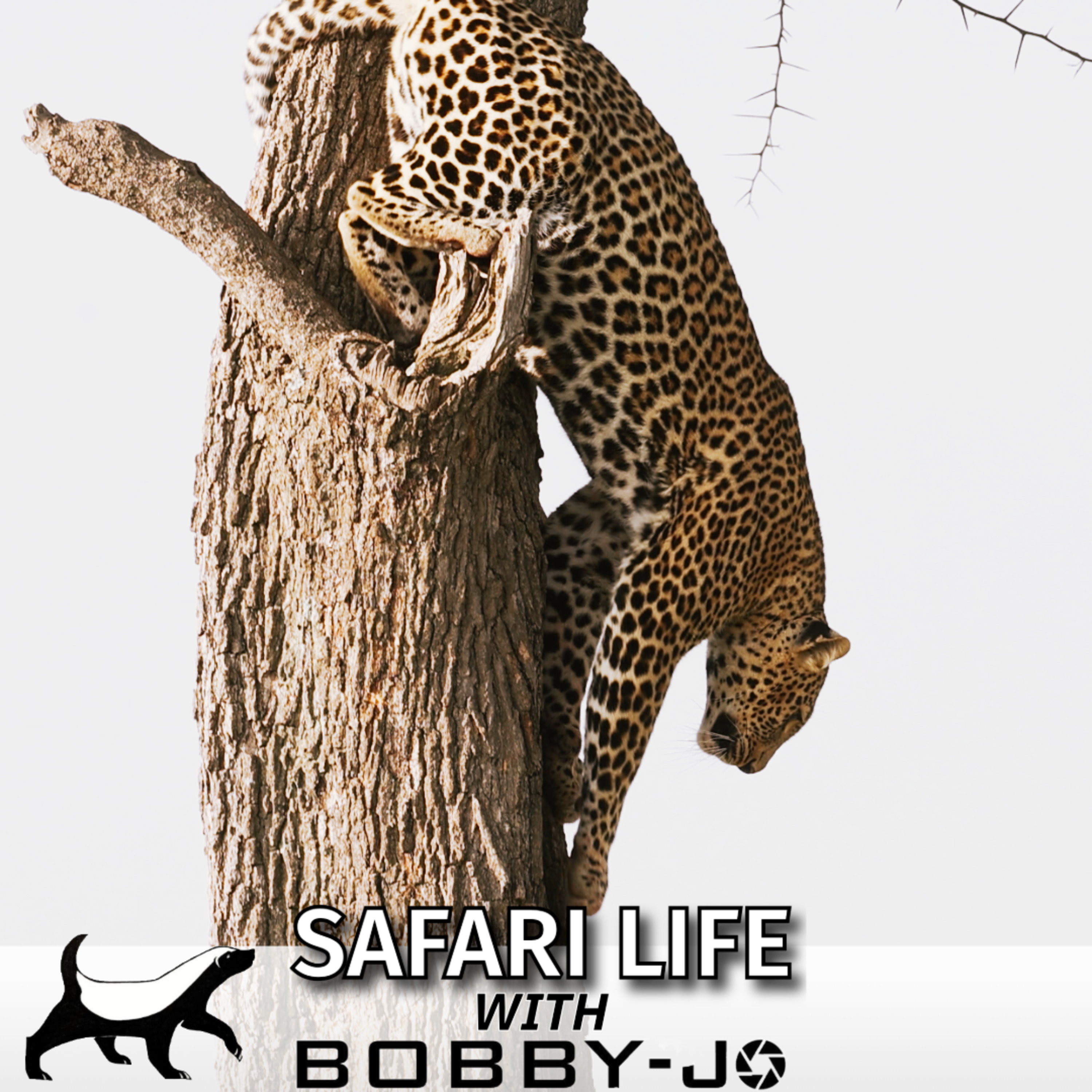 Ep12: A Leopard for Mum's Birthday