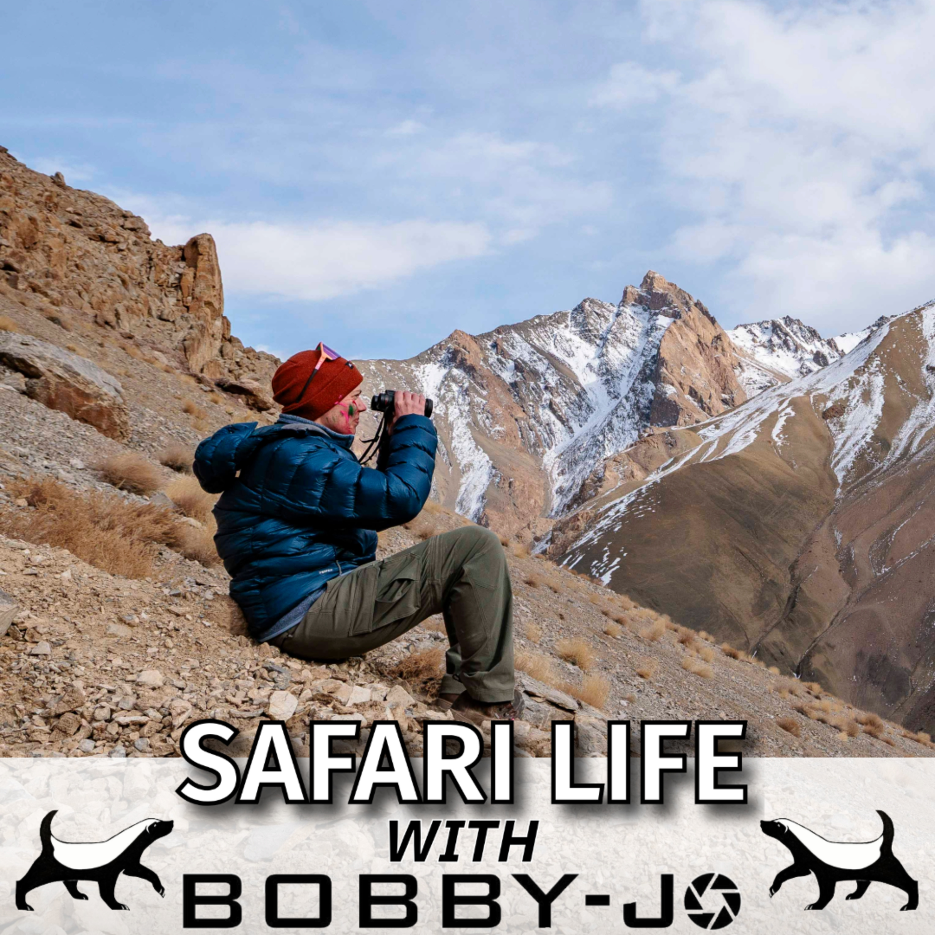 Ep36: Snow Leopard Quest in Ladakh - Altitude, Buddhists & Rare Cats episode artwork
