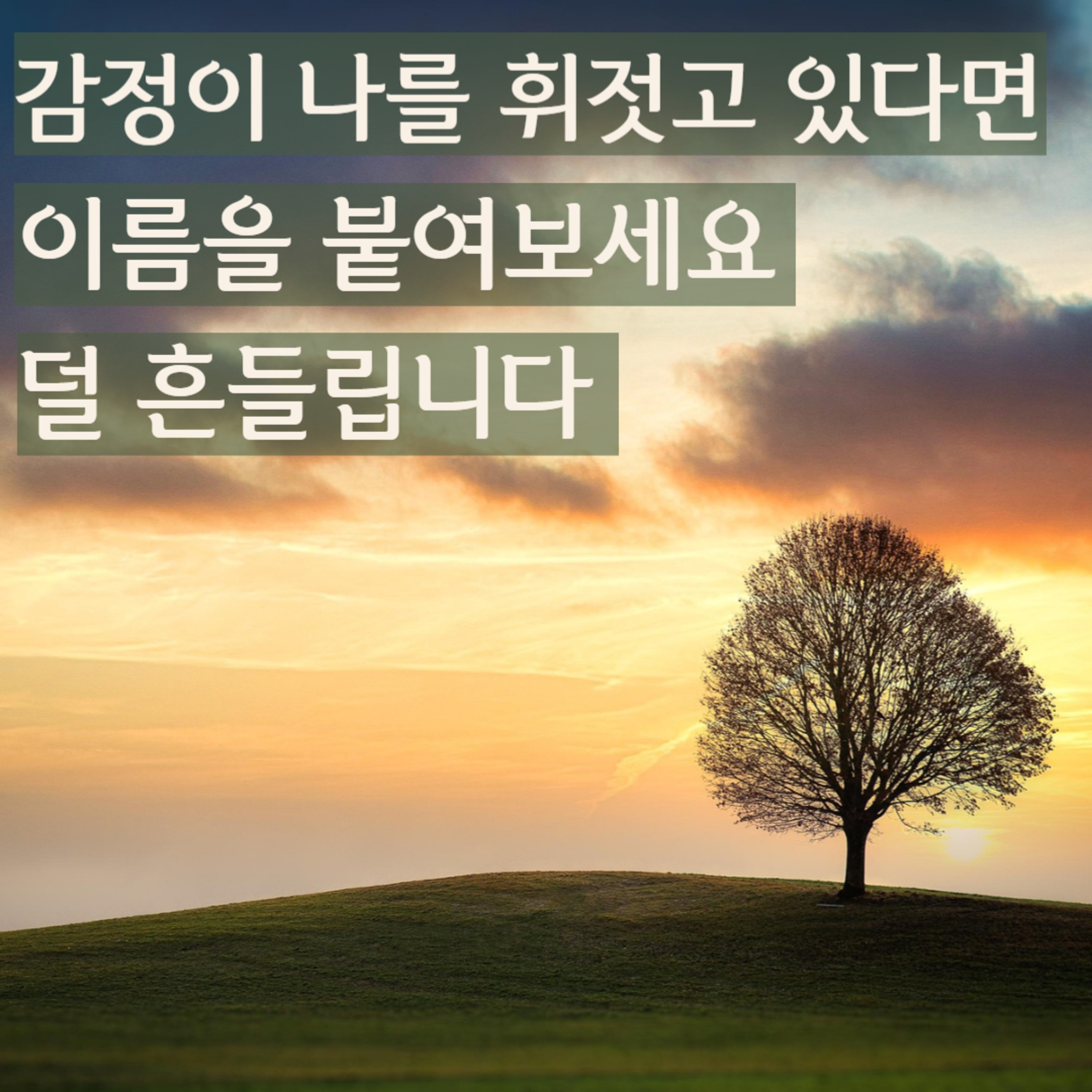감정에 휘둘리지 않는 연습｜감정 알아차림 명상 episode artwork