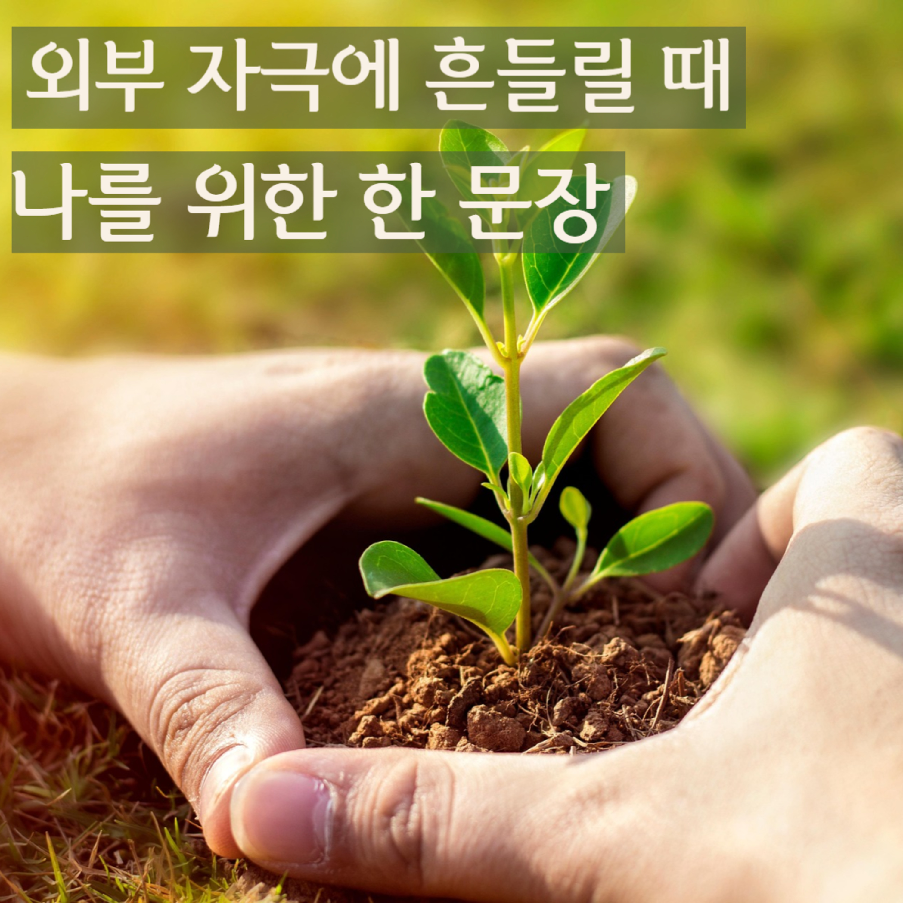 삶의 방향을 잊지 않게 해주는 산칼파 명상 | 요가 니드라 Ep.2 episode artwork