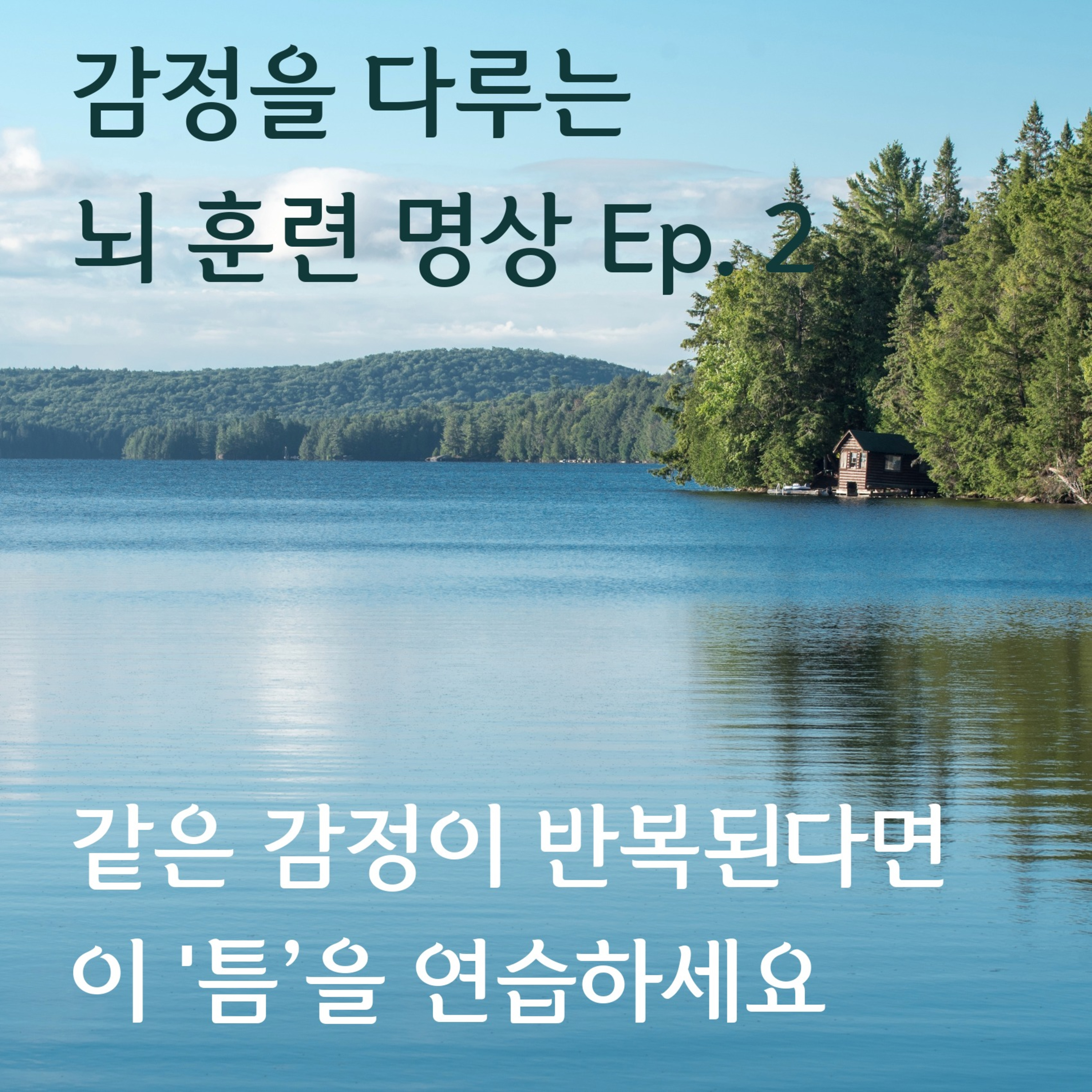 심리상담사와 함께하는 감정 다루기 | 감정과 반응 사이 ‘틈’을 발견하는 법 episode artwork
