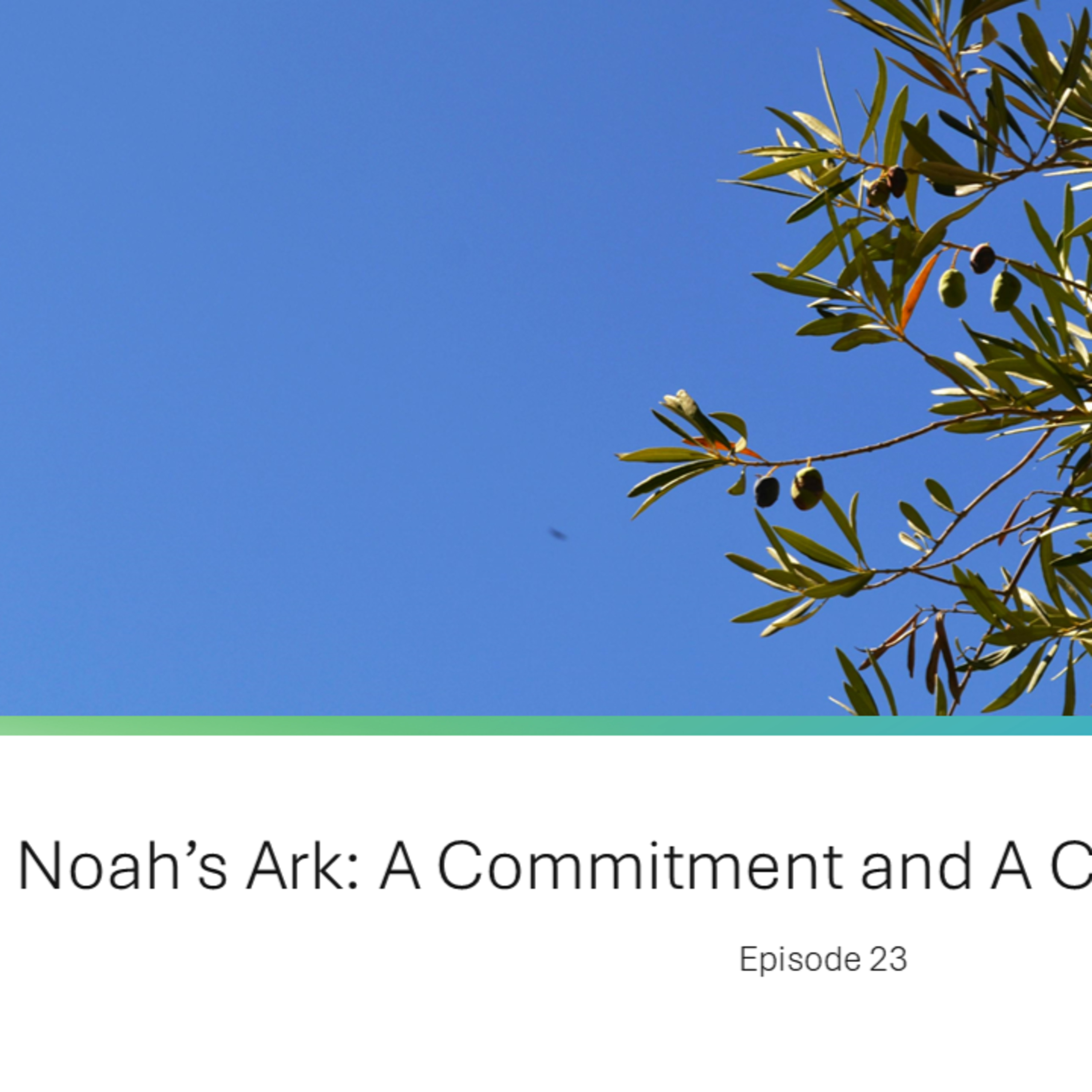 Lavigne Voiceovers Presents THE MESSAGE - Episode 23 - Noah's Ark: A Commitment and A Covenant with God episode artwork