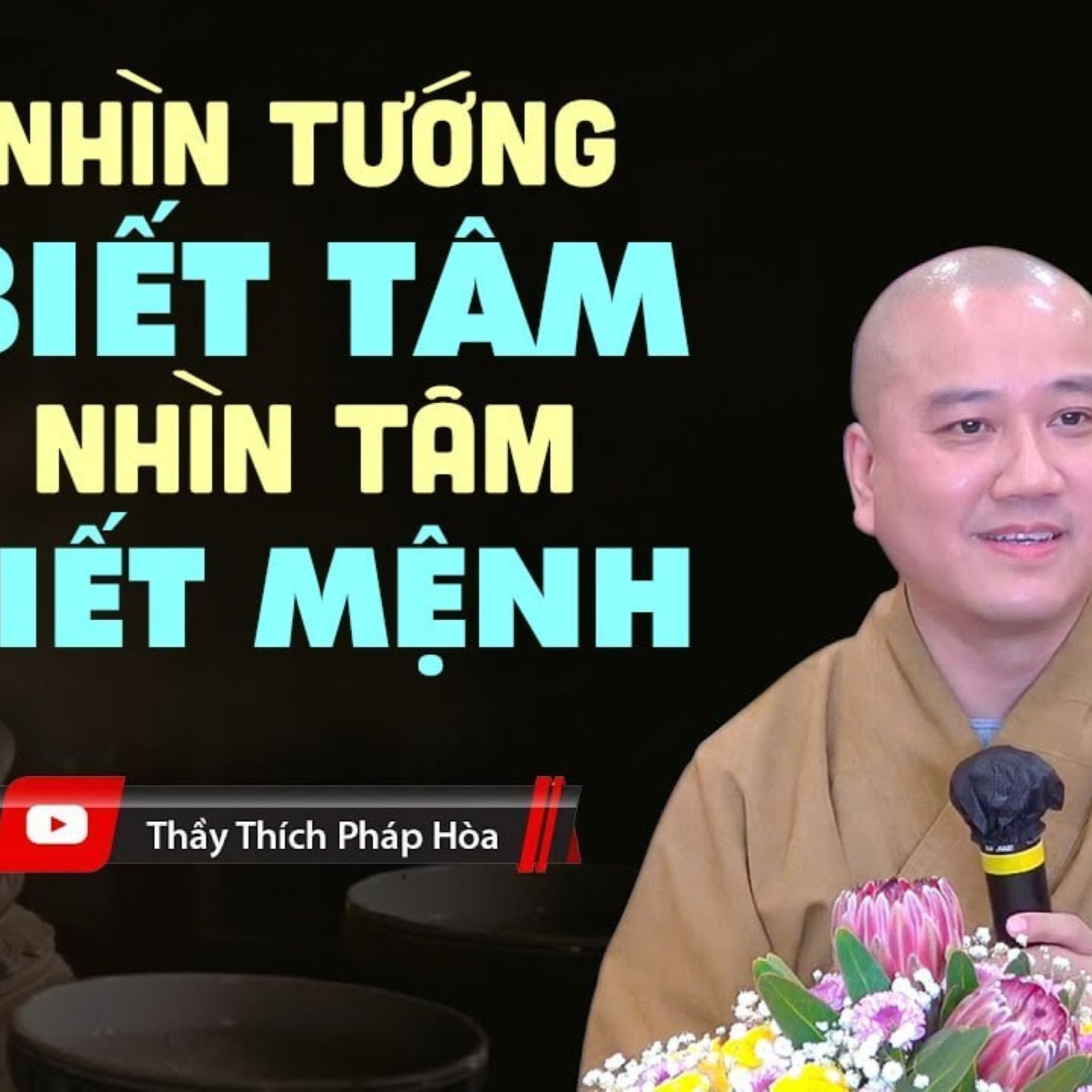 Pháp Thoại Thích Pháp Hòa