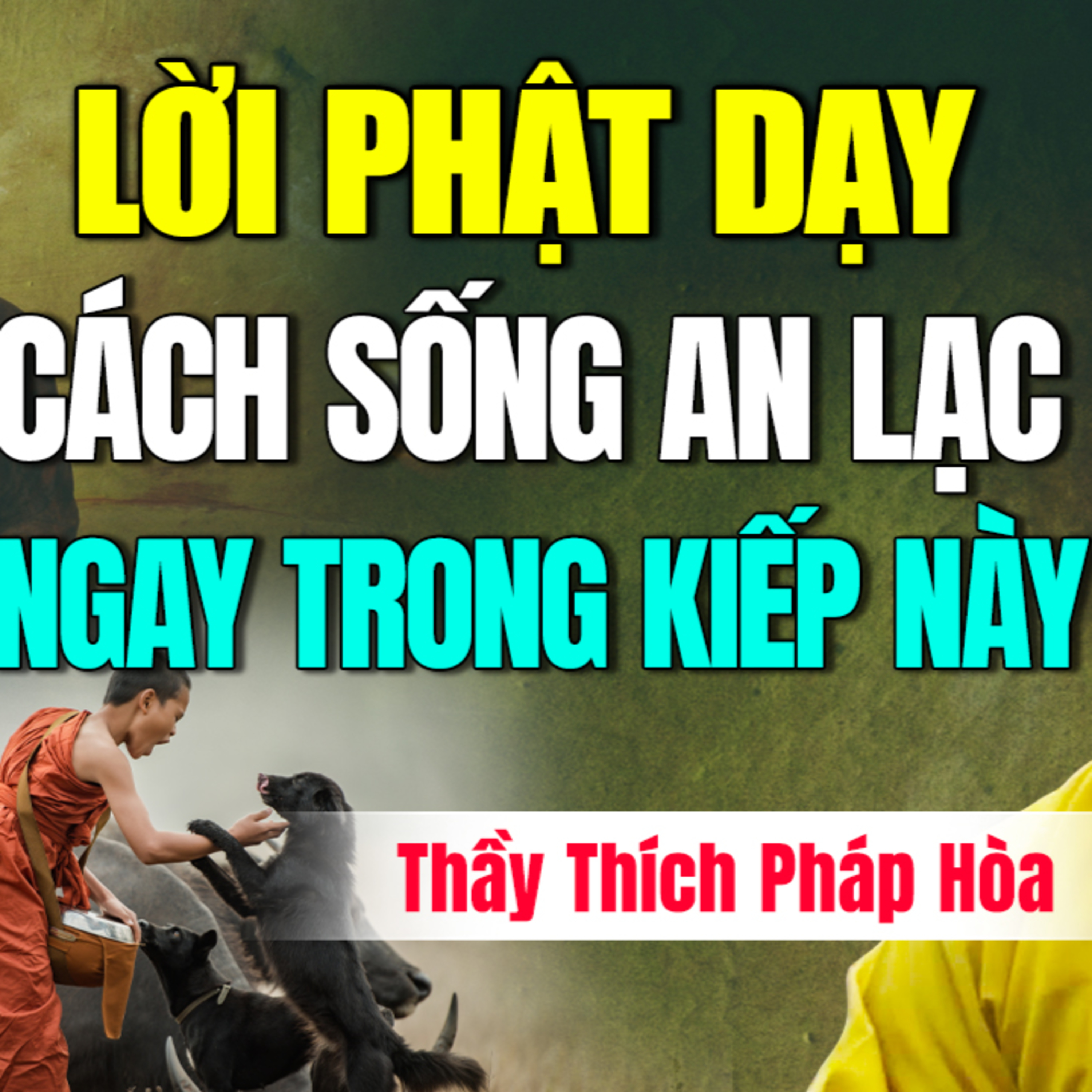 Lời Phật Dạy Cách Sống An Lạc Ngay Trong Kiếp Này - Thầy Thích Pháp Hòa (hay quá)