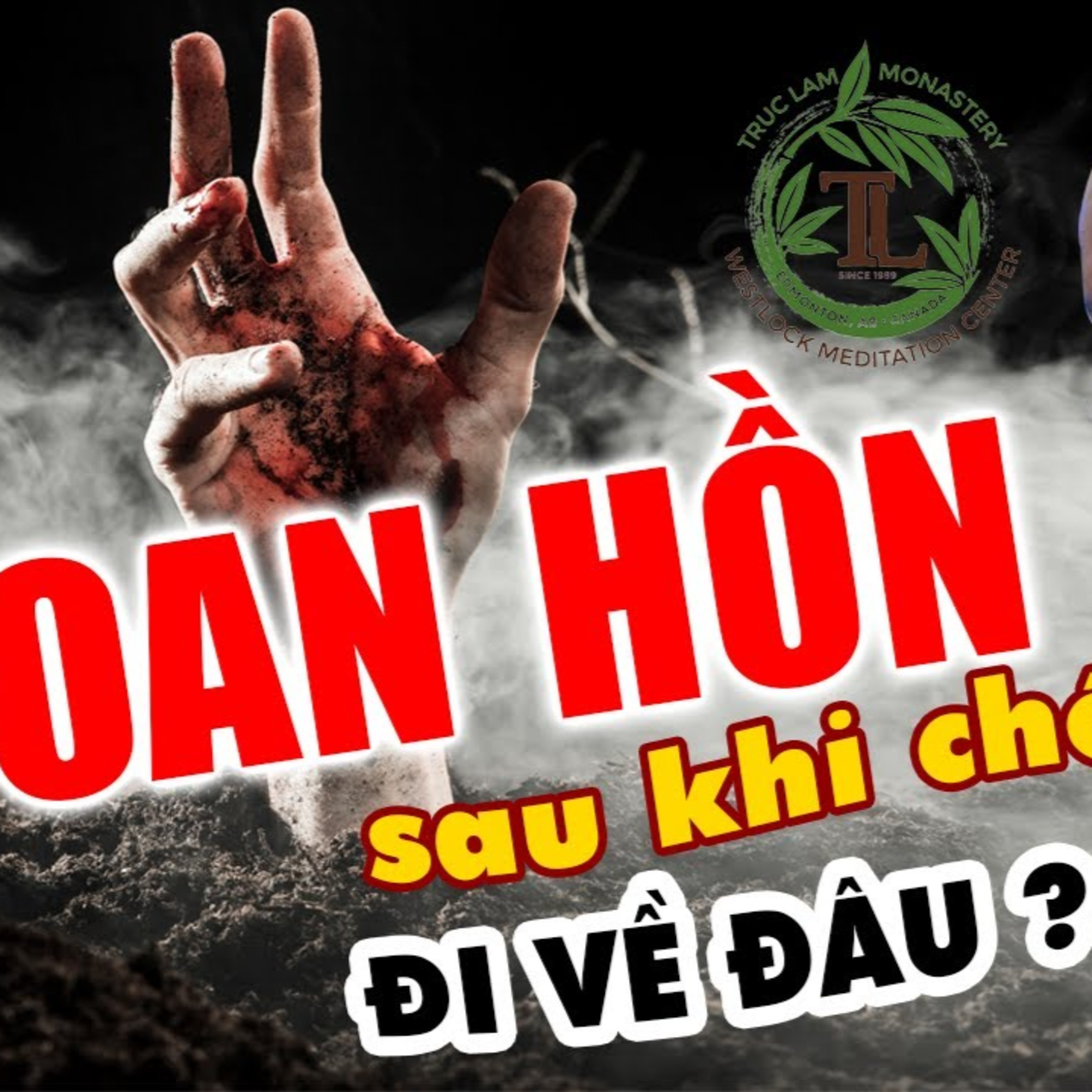Sau khi chết Hồn Sẽ Đi Về Đâu? Vấn đáp Thầy Thích Pháp Hoà (rất hay)