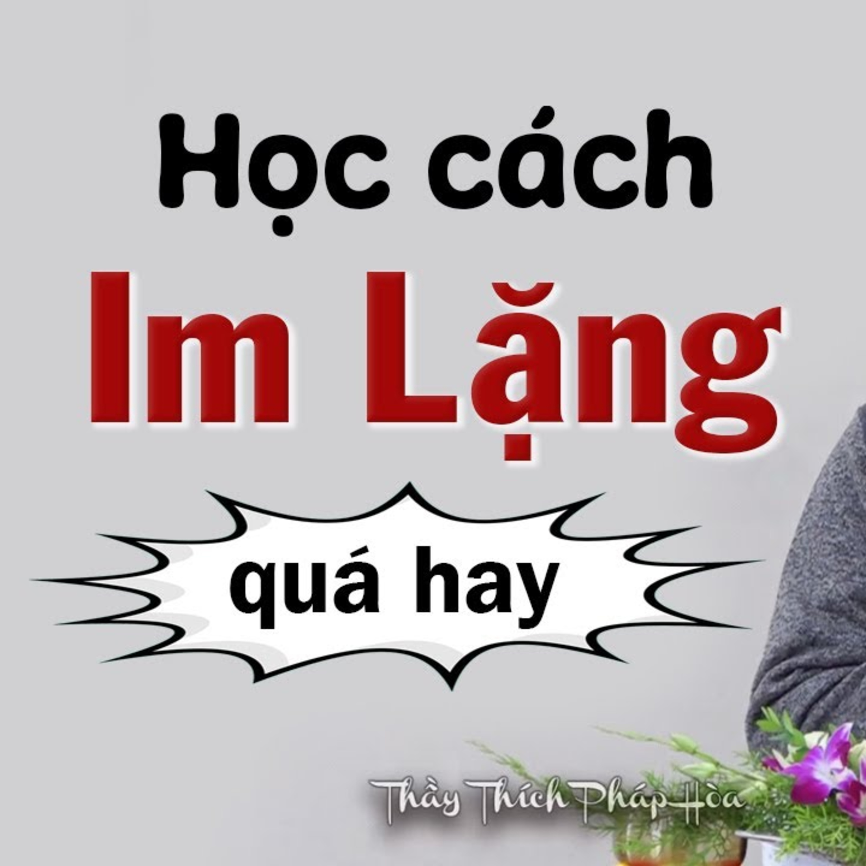 Pháp Thoại Thích Pháp Hòa