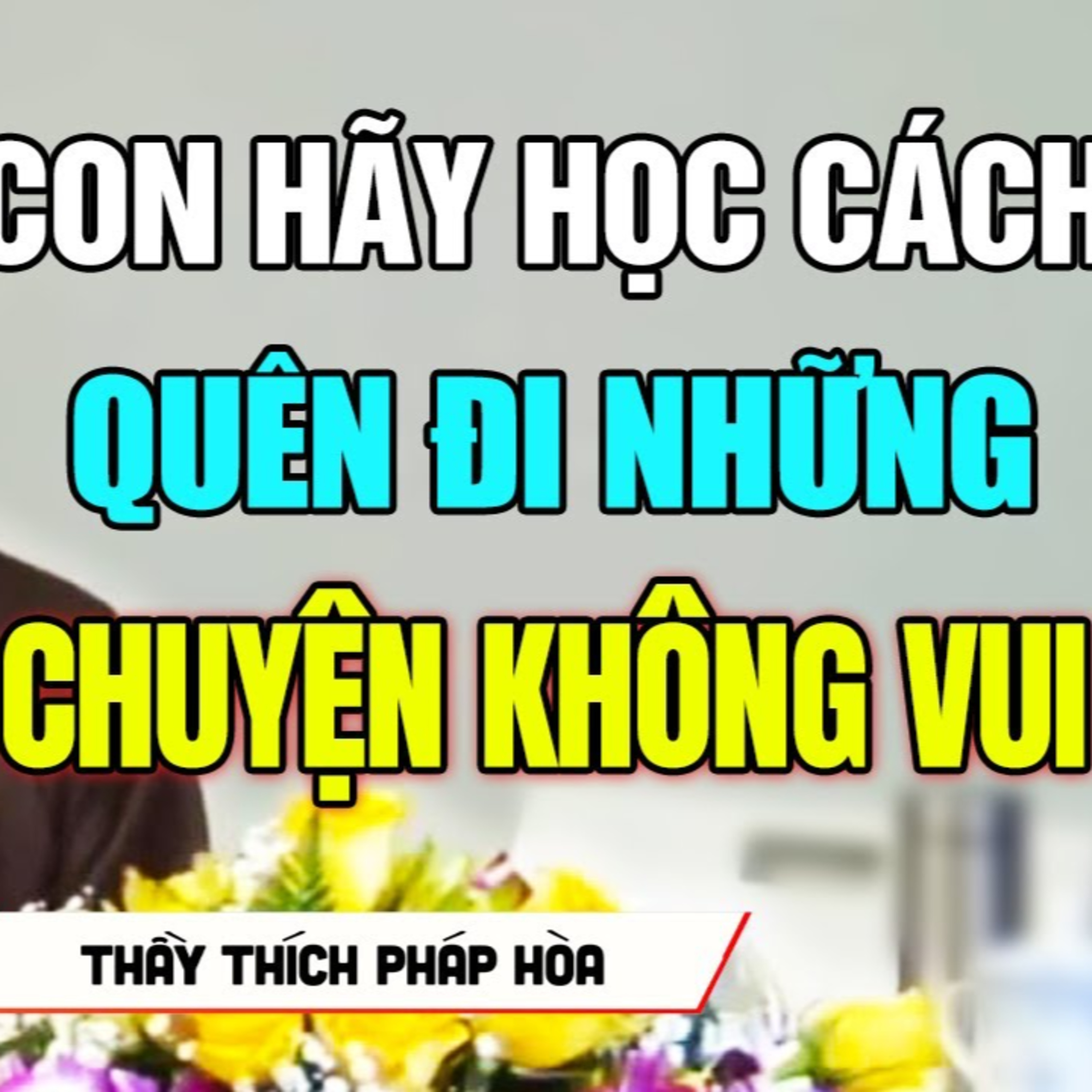 Pháp Thoại Thích Pháp Hòa