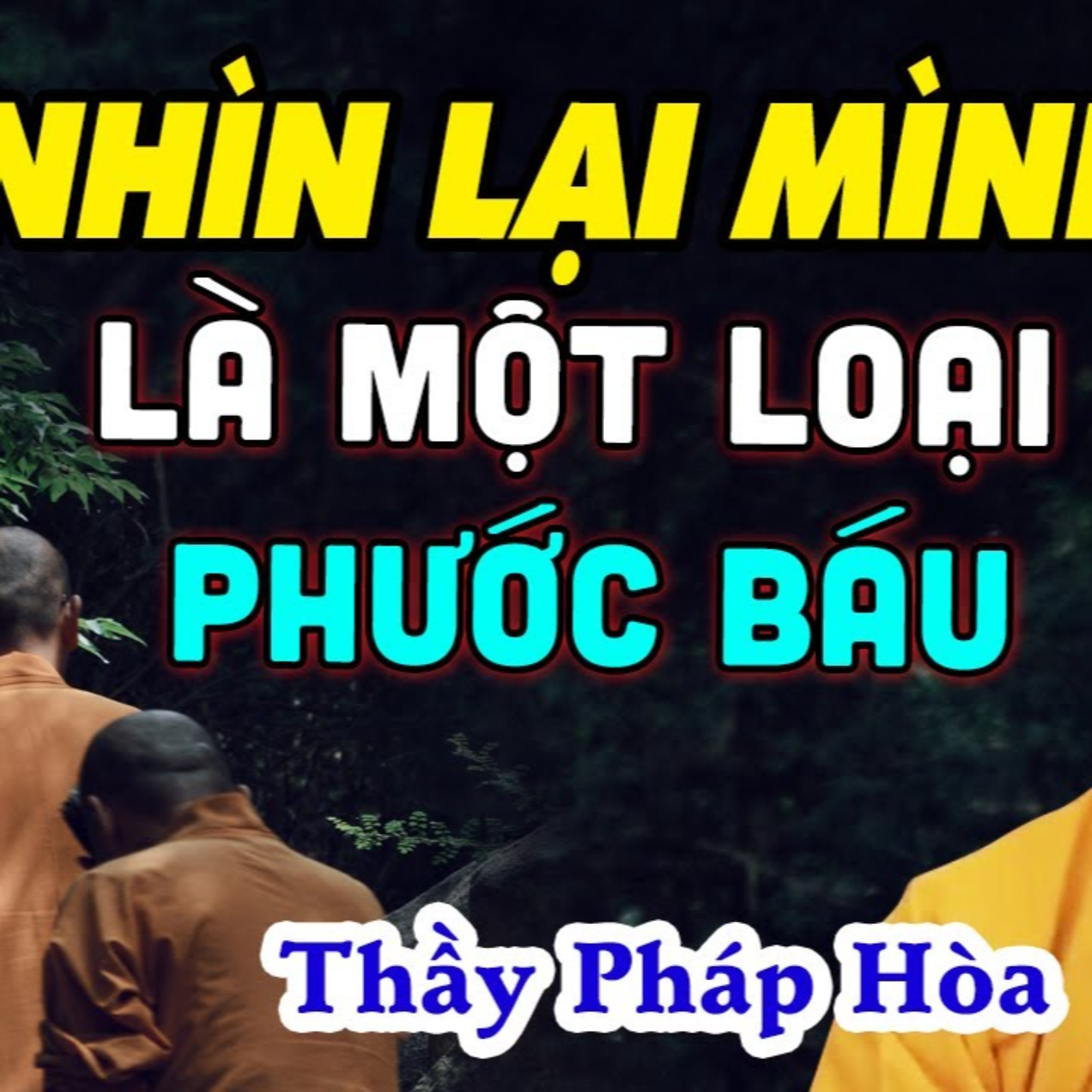 Pháp Thoại Thích Pháp Hòa