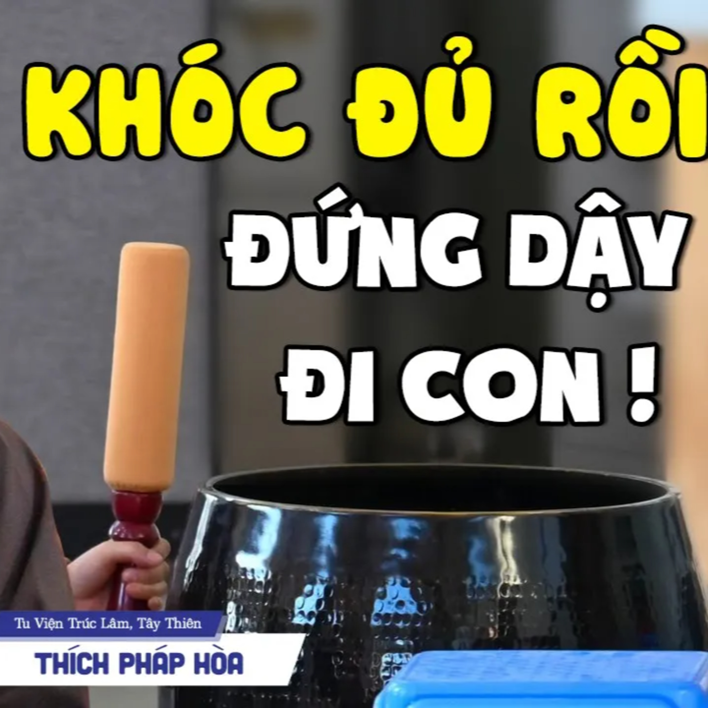 Đau khổ đủ rồi, đứng dậy đi con - Thầy Thích Pháp Hòa