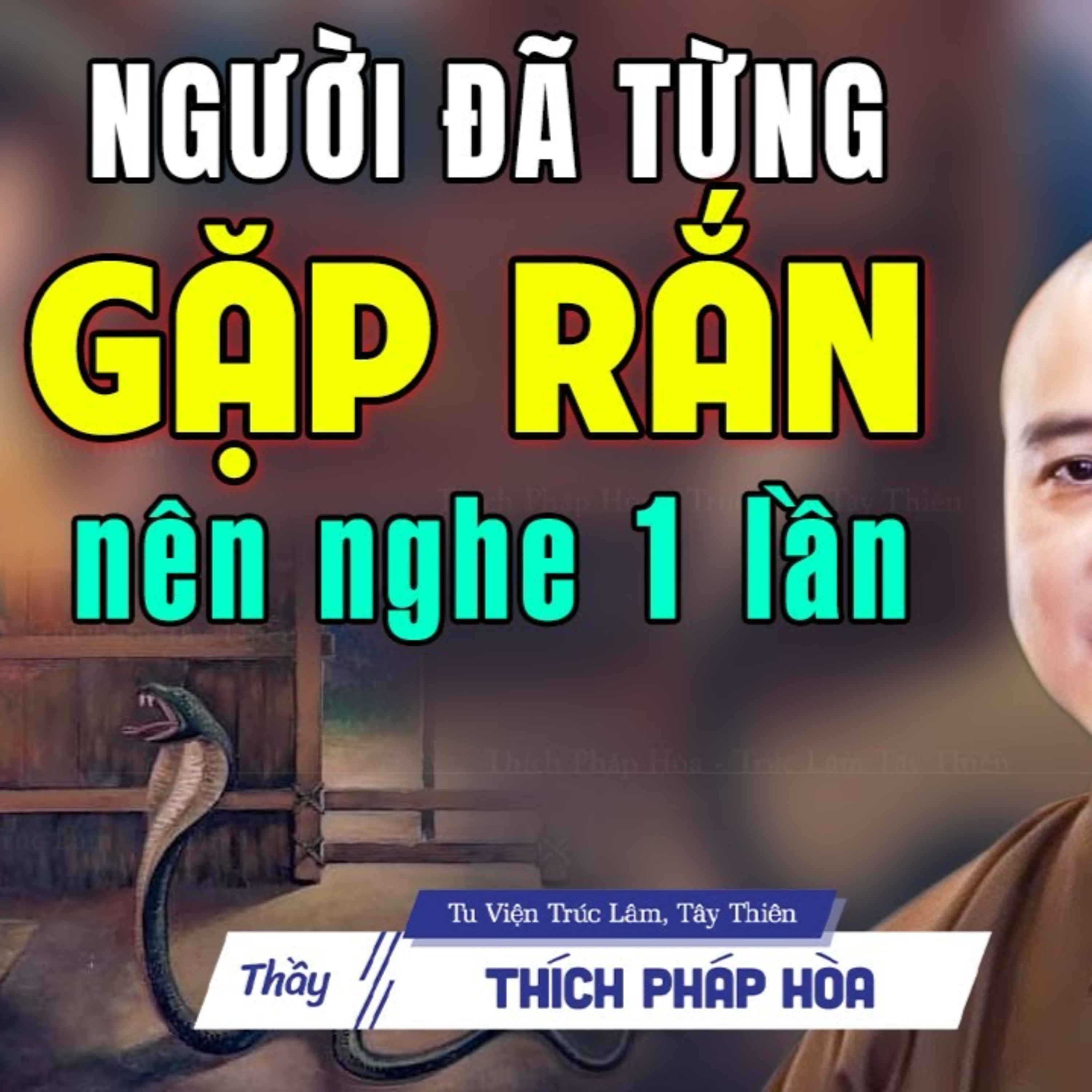 HẠNH CON RẮN & Bài Học Quan Trọng Đạo Làm Người (Lời Phật Dạy Hay) - Thầy Thích Pháp Hòa