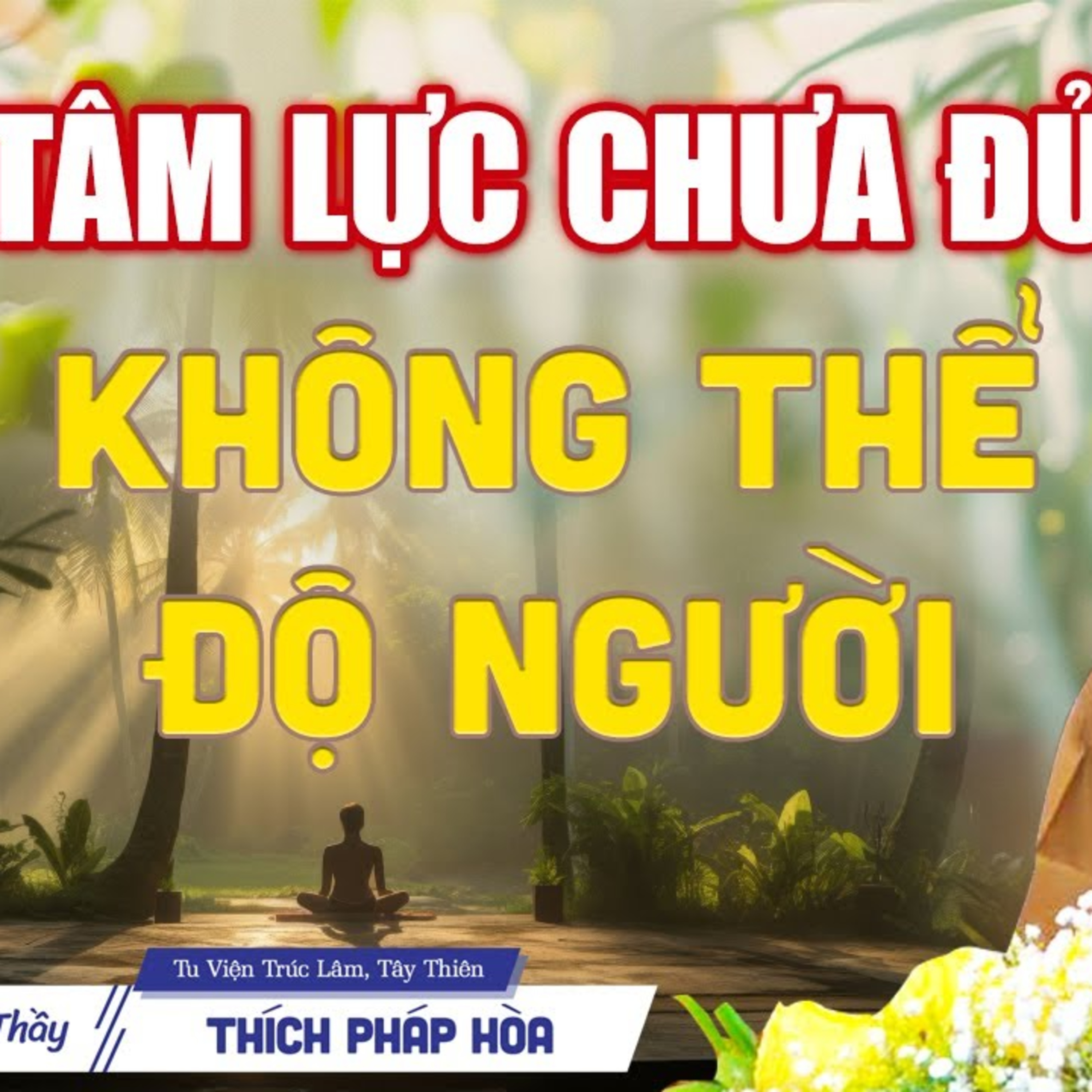 TÂM LỰC Chưa Đủ Không Thể ĐỘ NGƯỜI - Thầy Thích Pháp Hòa