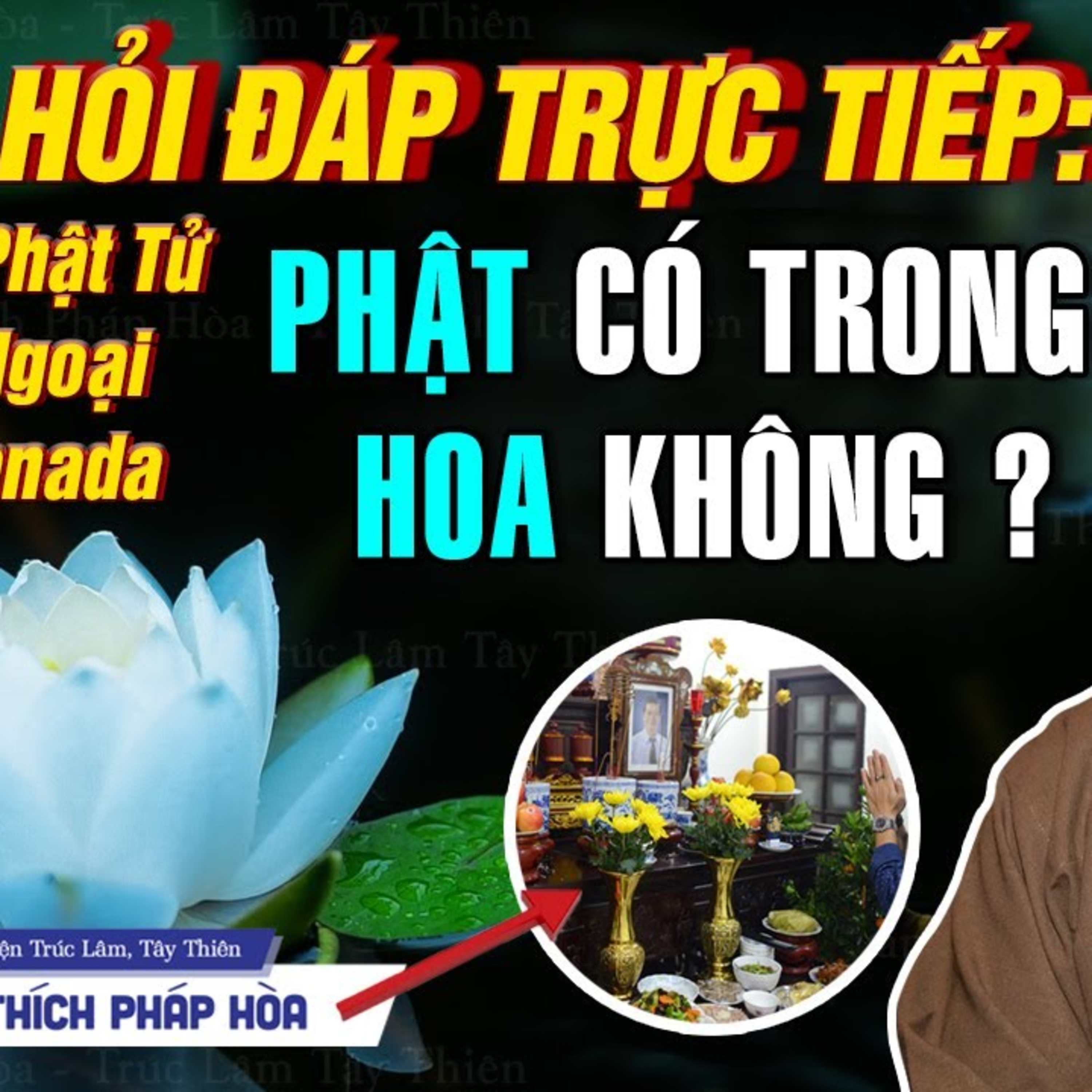 "Có Phật Trong Hoa Không Thầy?" Hỏi Đáp Trực Tiếp cùng Phật Tử hải ngoại - Thầy Pháp Hòa (Rất Hay)