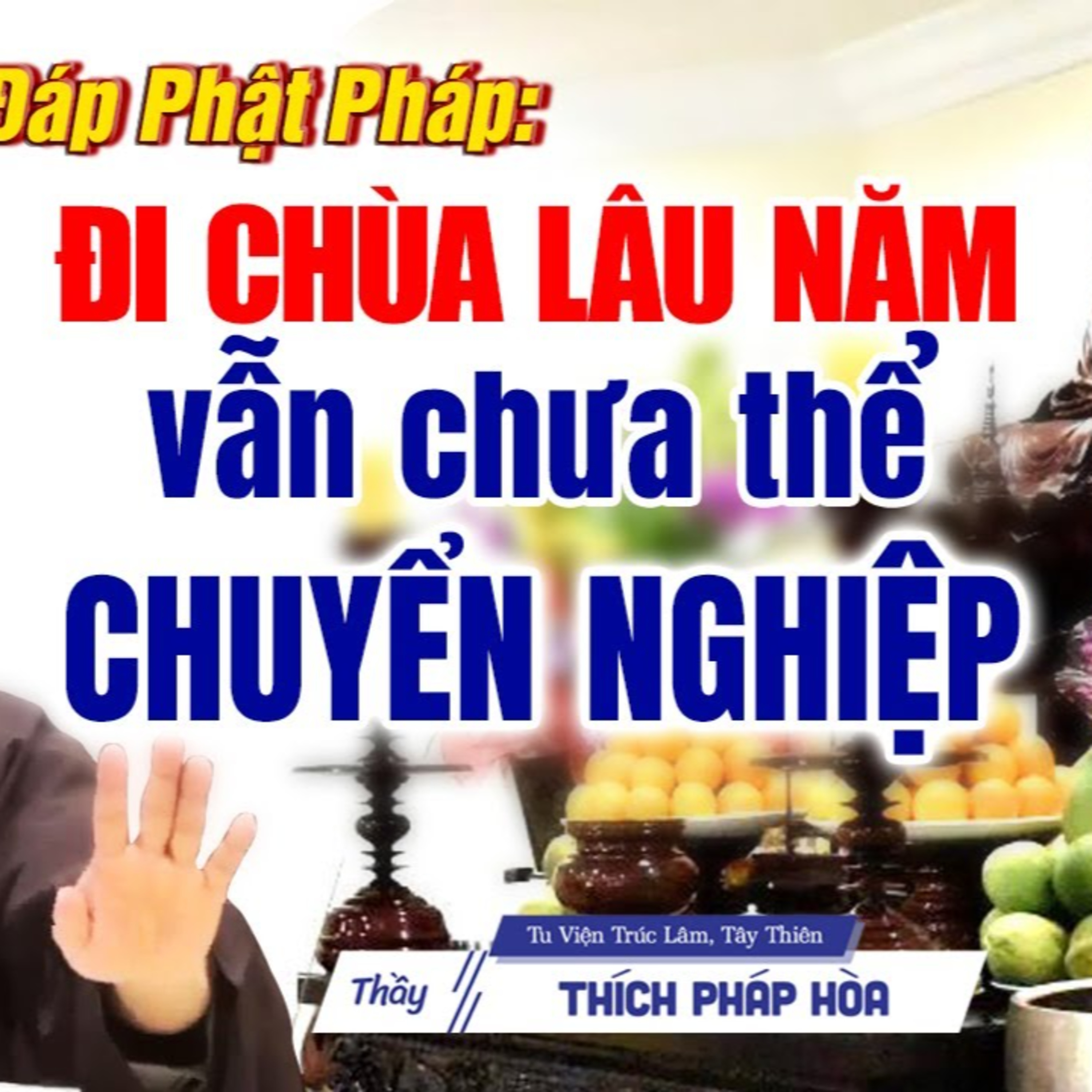 Đi Chùa Lâu Năm Vẫn Chưa Thể Chuyển Nghiệp - Vấn Đáp Rất Hay Thầy Pháp Hòa