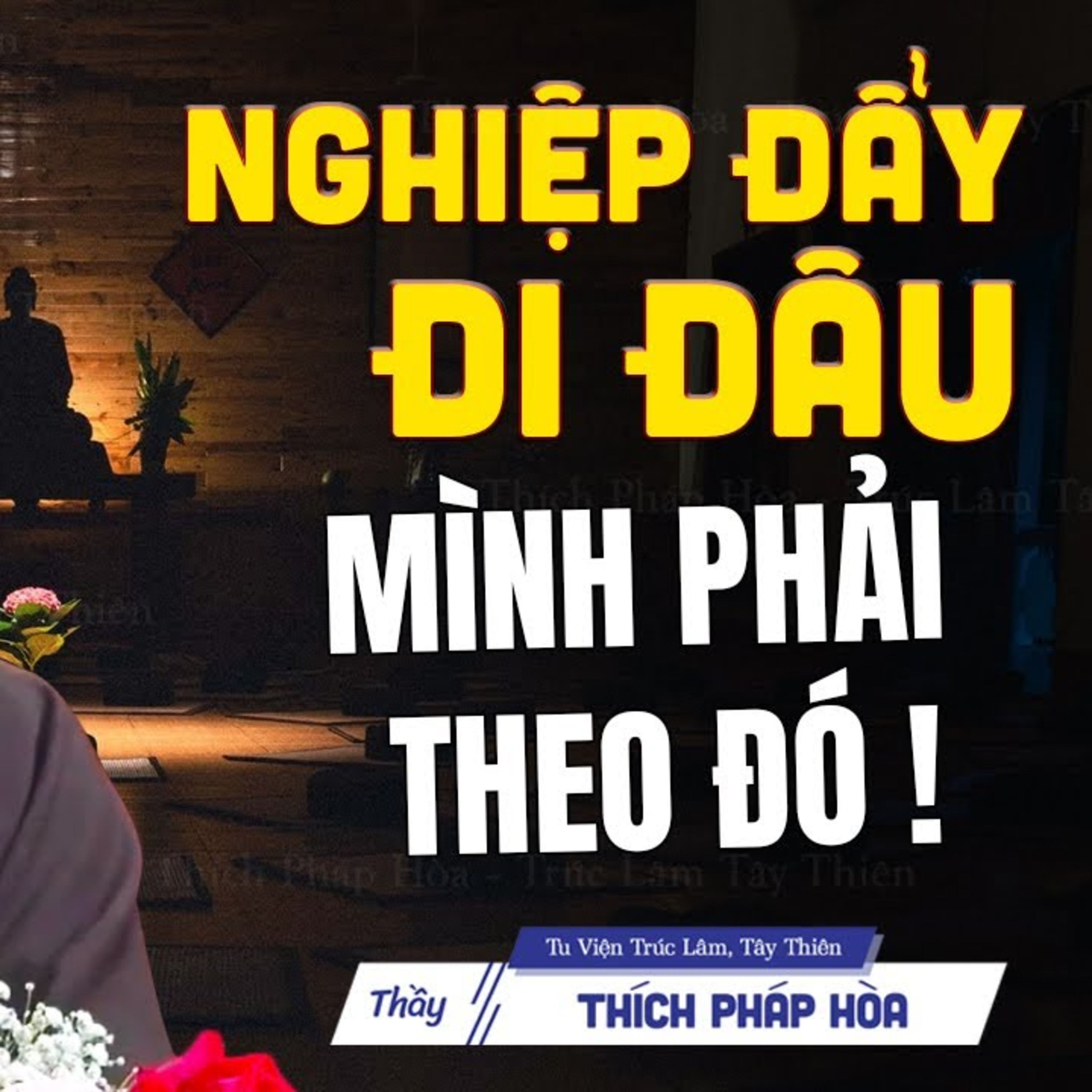 Nghiệp đẩy đi đâu mình phải theo đó - Thầy Thích Pháp Hòa
