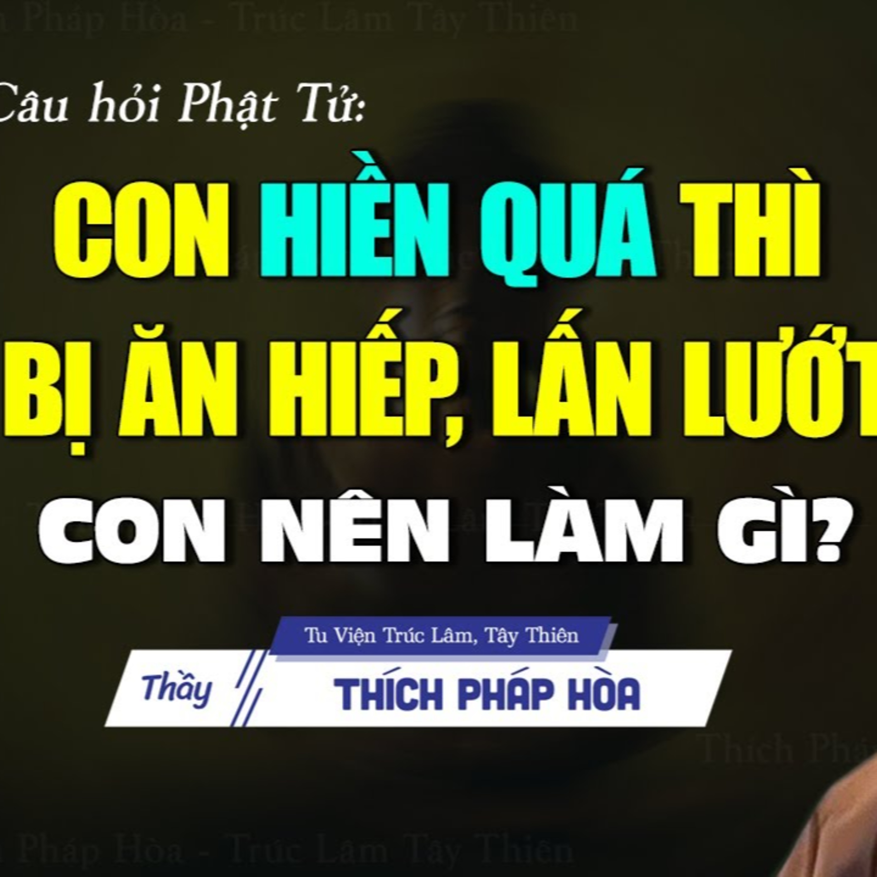 "Nhẫn Nhịn Thì Bị Ăn Hiếp, Bị Thua Thiệt, con nên làm gì Thầy ơi?" - Vấn Đáp Thầy Thích Pháp Hòa