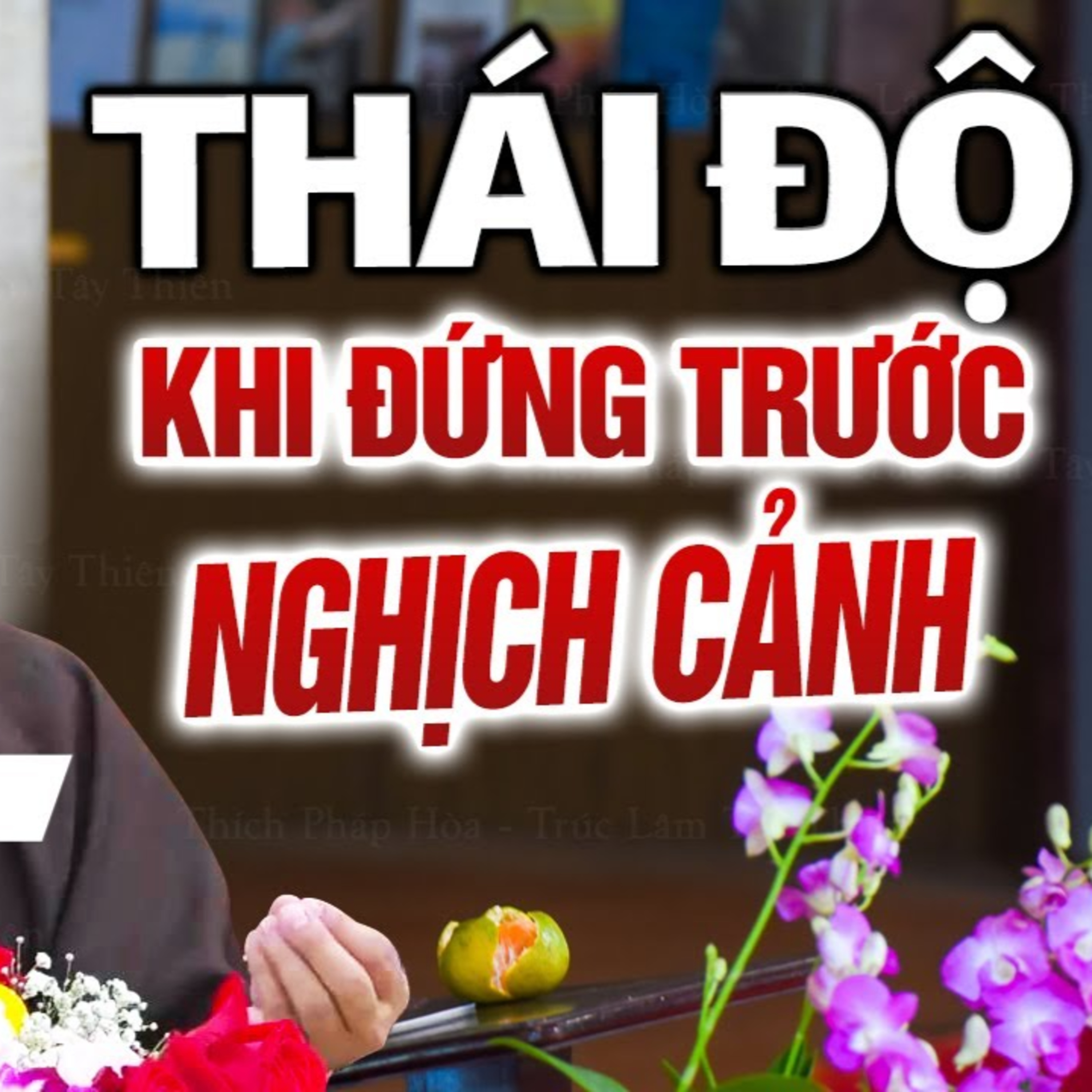 Thái độ đứng trước nghịch cảnh là điều quan trọng nhất để Chuyển Nghiệp - Thầy Thích Pháp Hòa