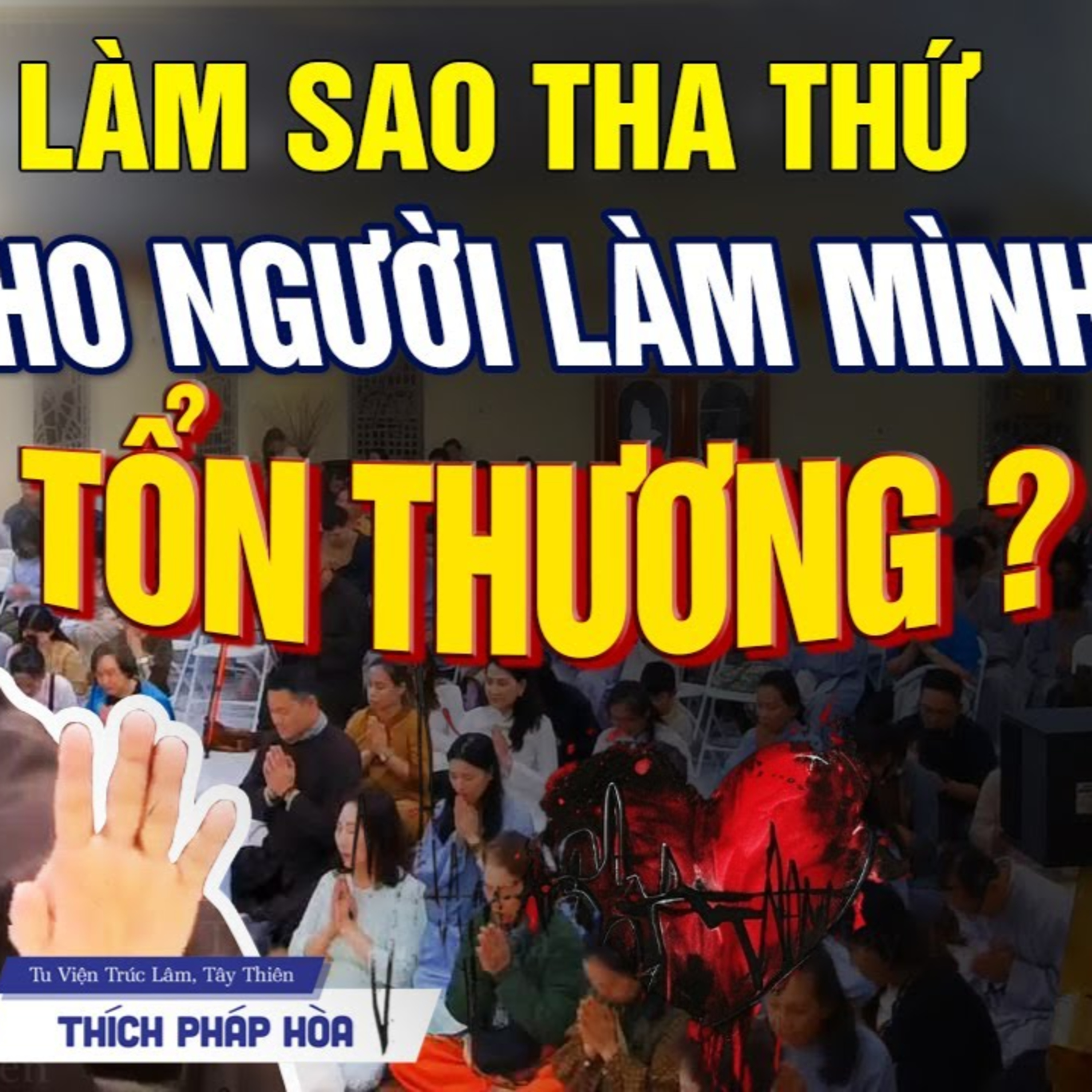 "Người ta lợi dụng và làm con tổn thương, làm sao để con tha thứ?" - Vấn Đáp Thầy Pháp Hòa