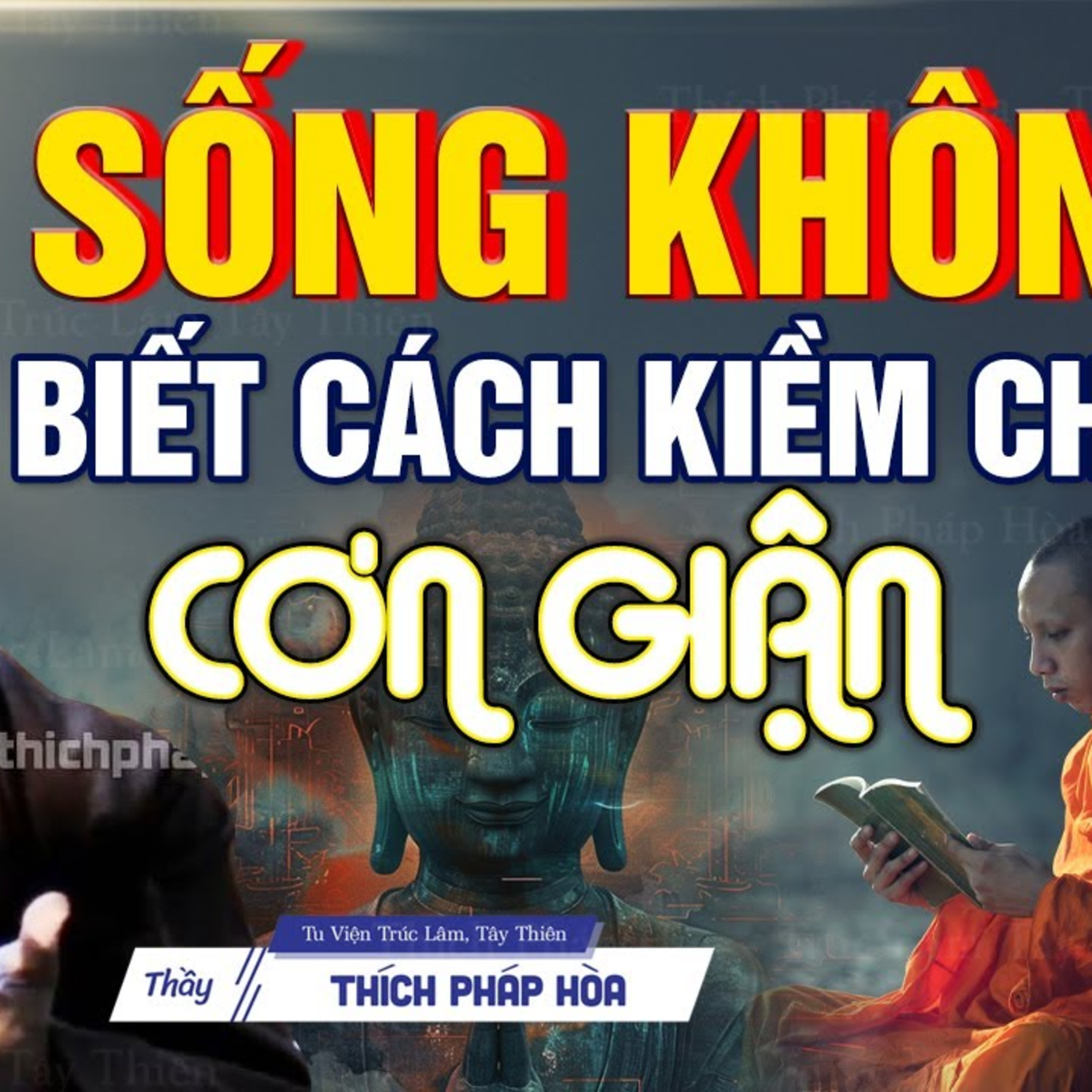 Người khôn ngoan biết học cách làm chủ cơn nóng giận (Lời Phật Dạy Rất Hay) - Thầy Pháp Hòa
