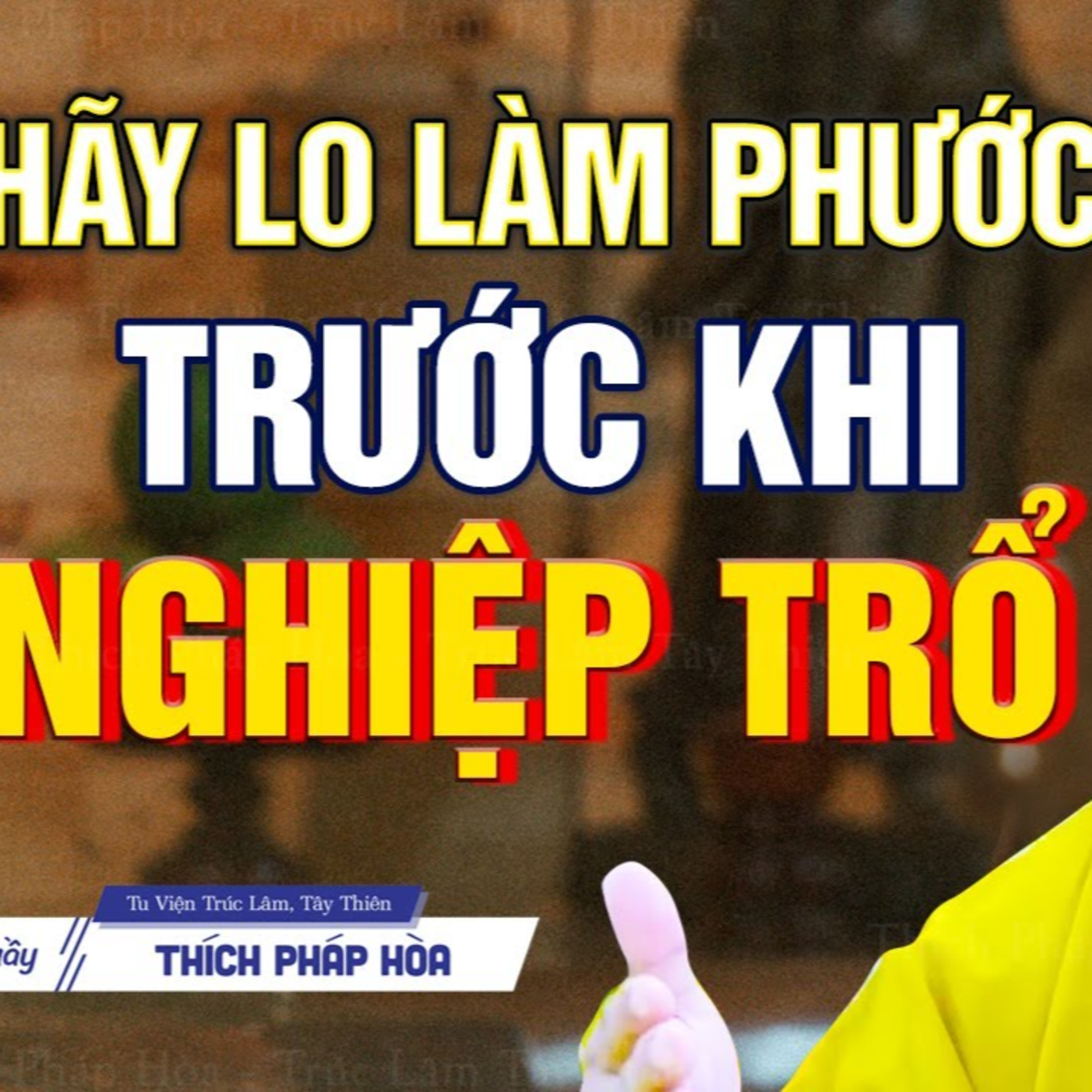 Pháp Thoại Thích Pháp Hòa