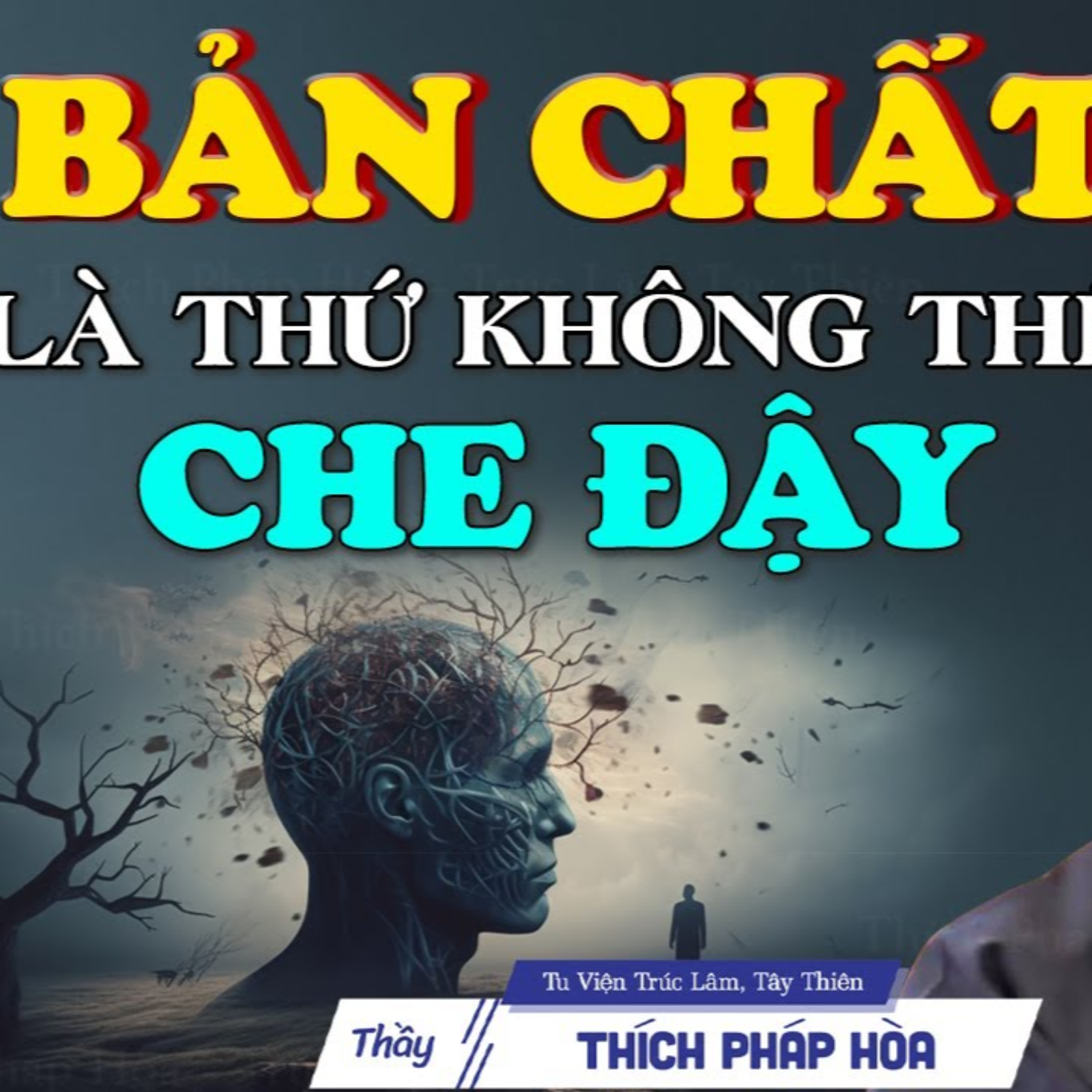Bản Chất con người là thứ không thể che đậy - Thầy Thích Pháp Hòa