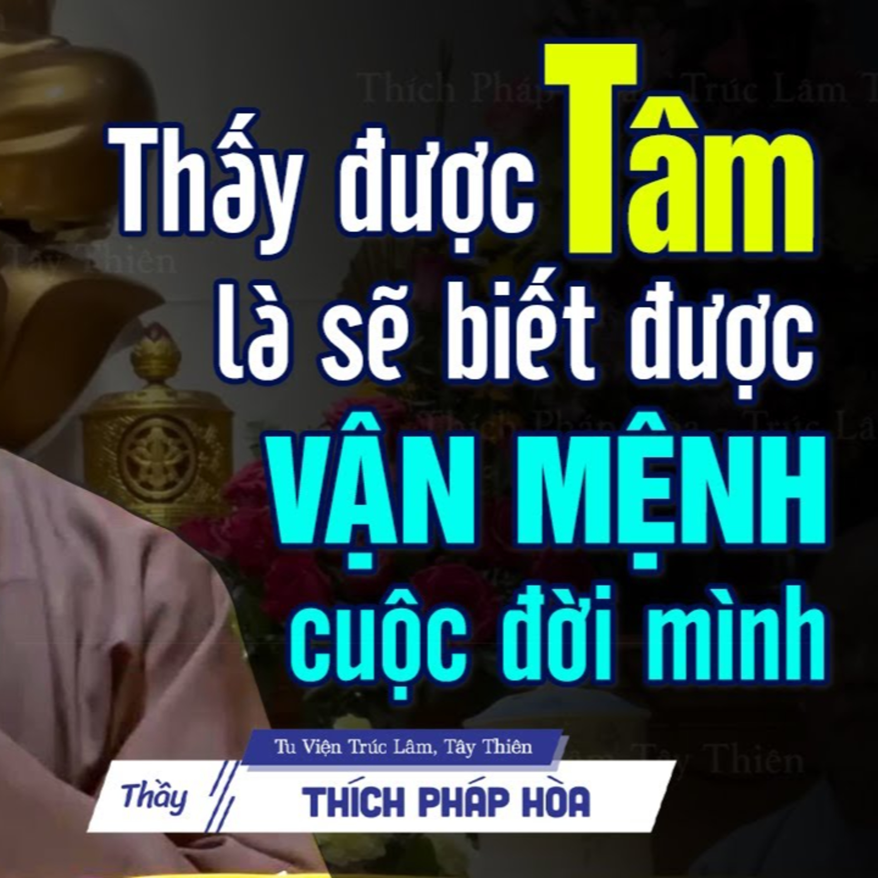 Thấy được tâm là biết được cuộc đời mình - Thầy Thích Pháp Hòa