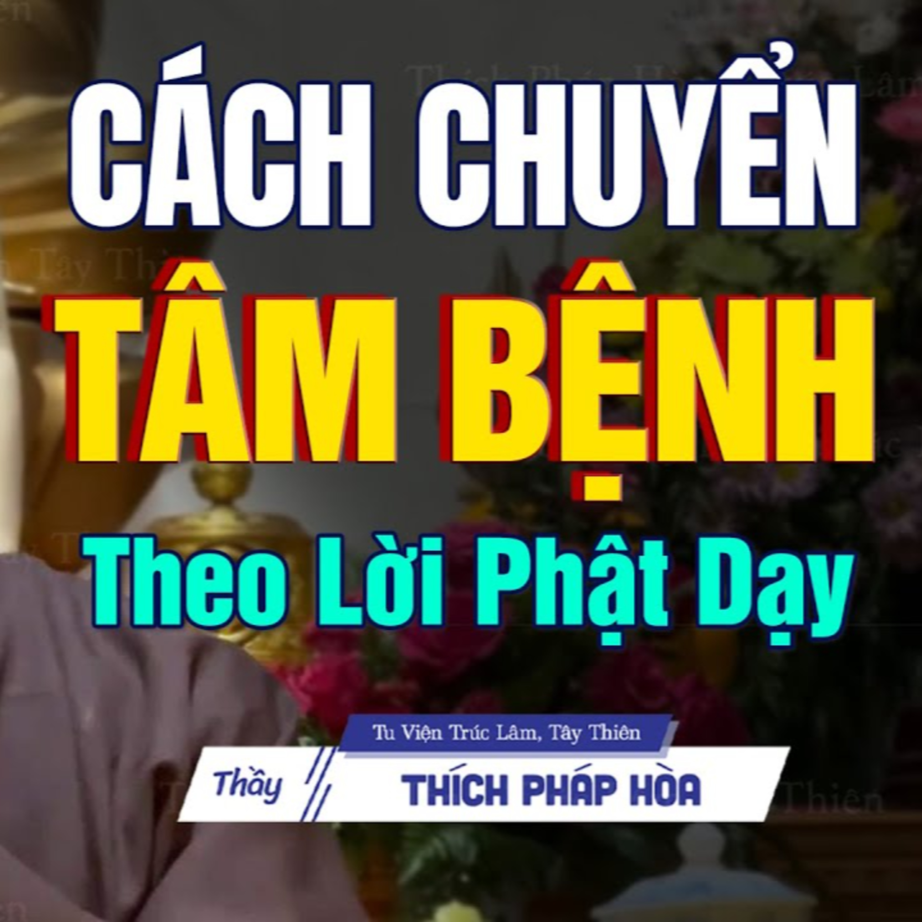Thầy Pháp Hòa - Nguyên nhân và cách chuyển hóa Tâm Bệnh theo Lời Phật Dạy
