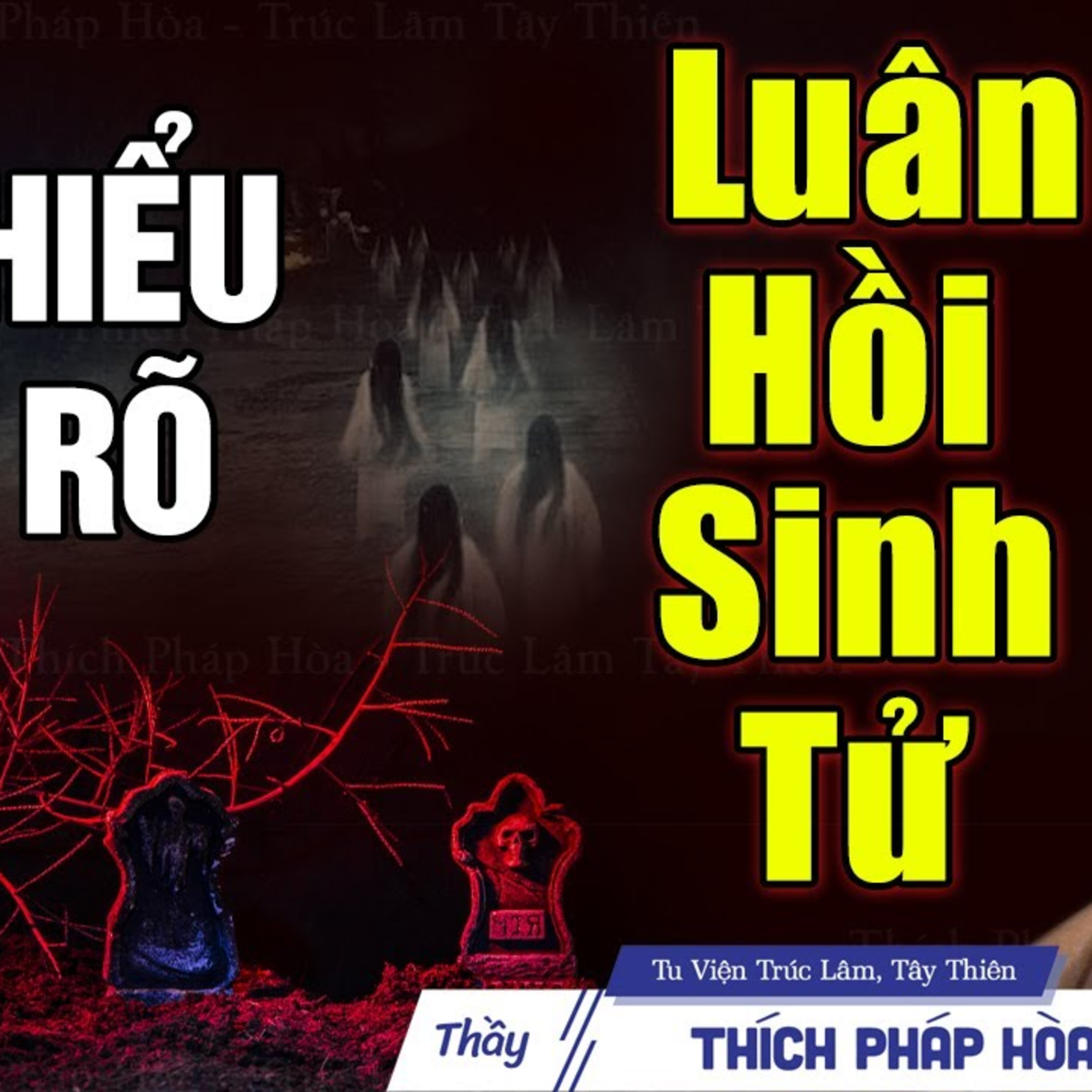 Hiểu được Luân Hồi Sinh Tử là đã tu hơn nửa đời người - Vấn Đáp Thầy Thích Pháp Hòa
