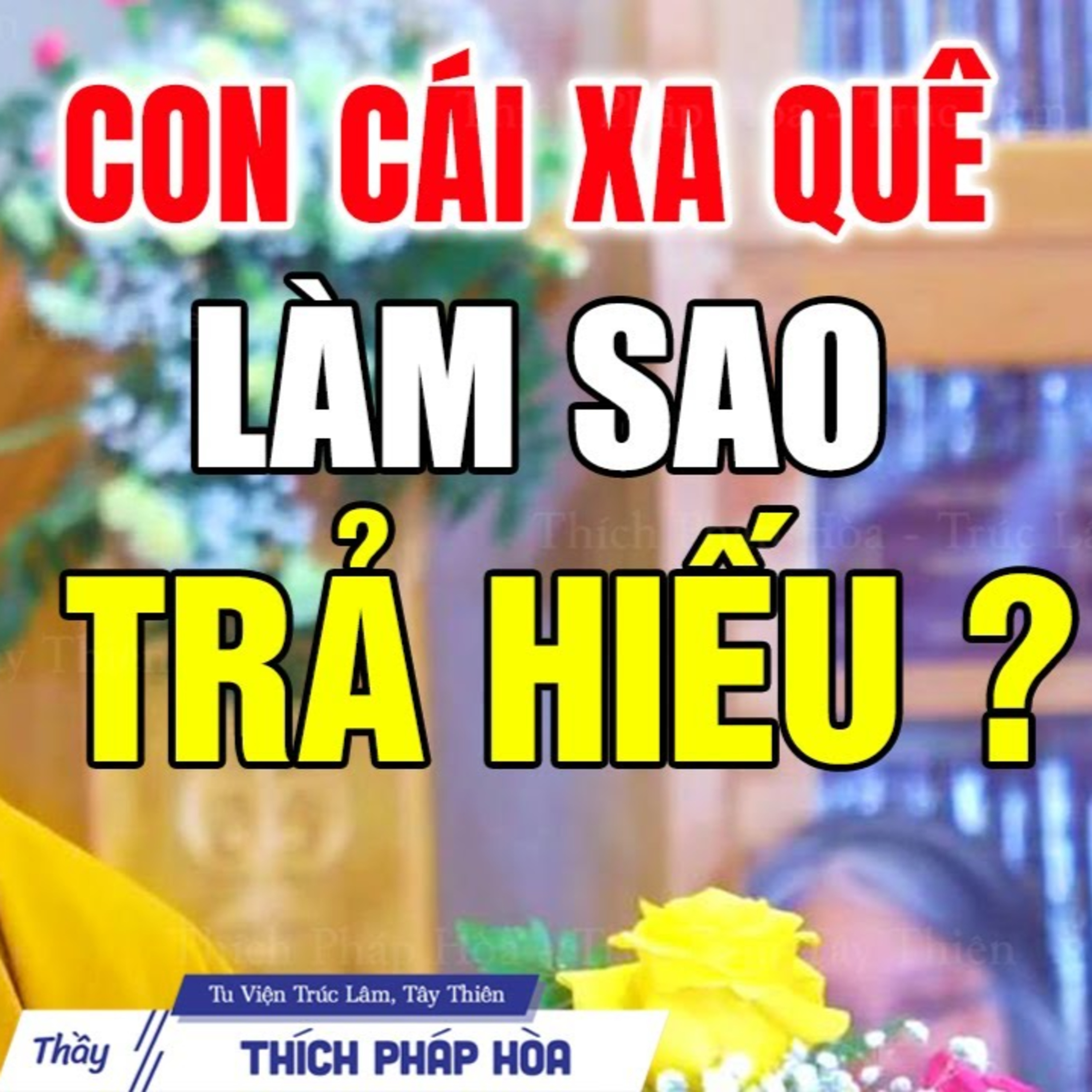 Con cái sống xa cha mẹ nên Báo Hiếu như thế nào theo lời Phật dạy - Vấn Đáp Thầy Pháp Hòa