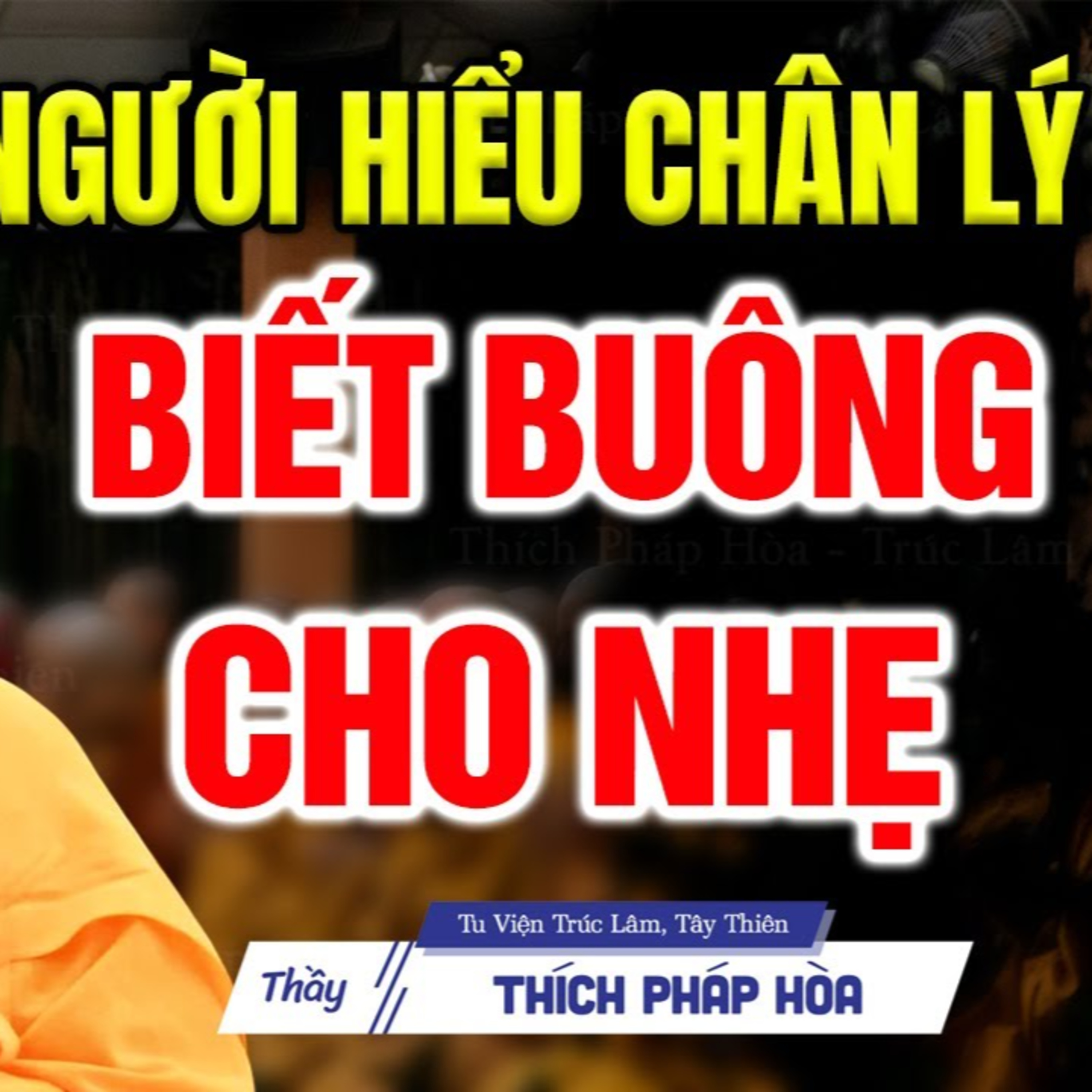 Người hiểu chân lý biết nắm biết buông nhẹ nhàng tự tại - Thầy Thích Pháp Hòa