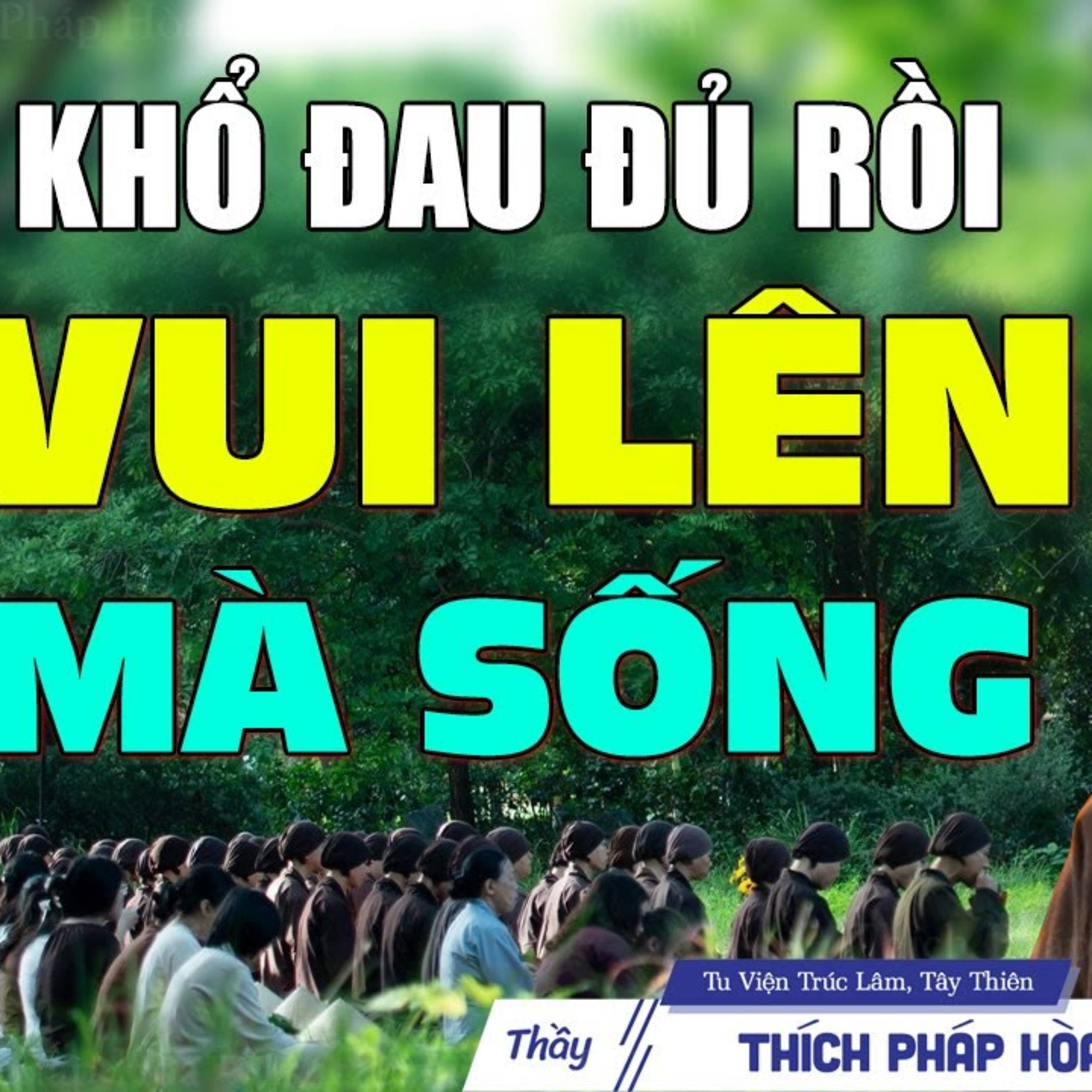 Khổ đau đủ rồi, vui lên mà sống - Thầy Thích Pháp Hòa