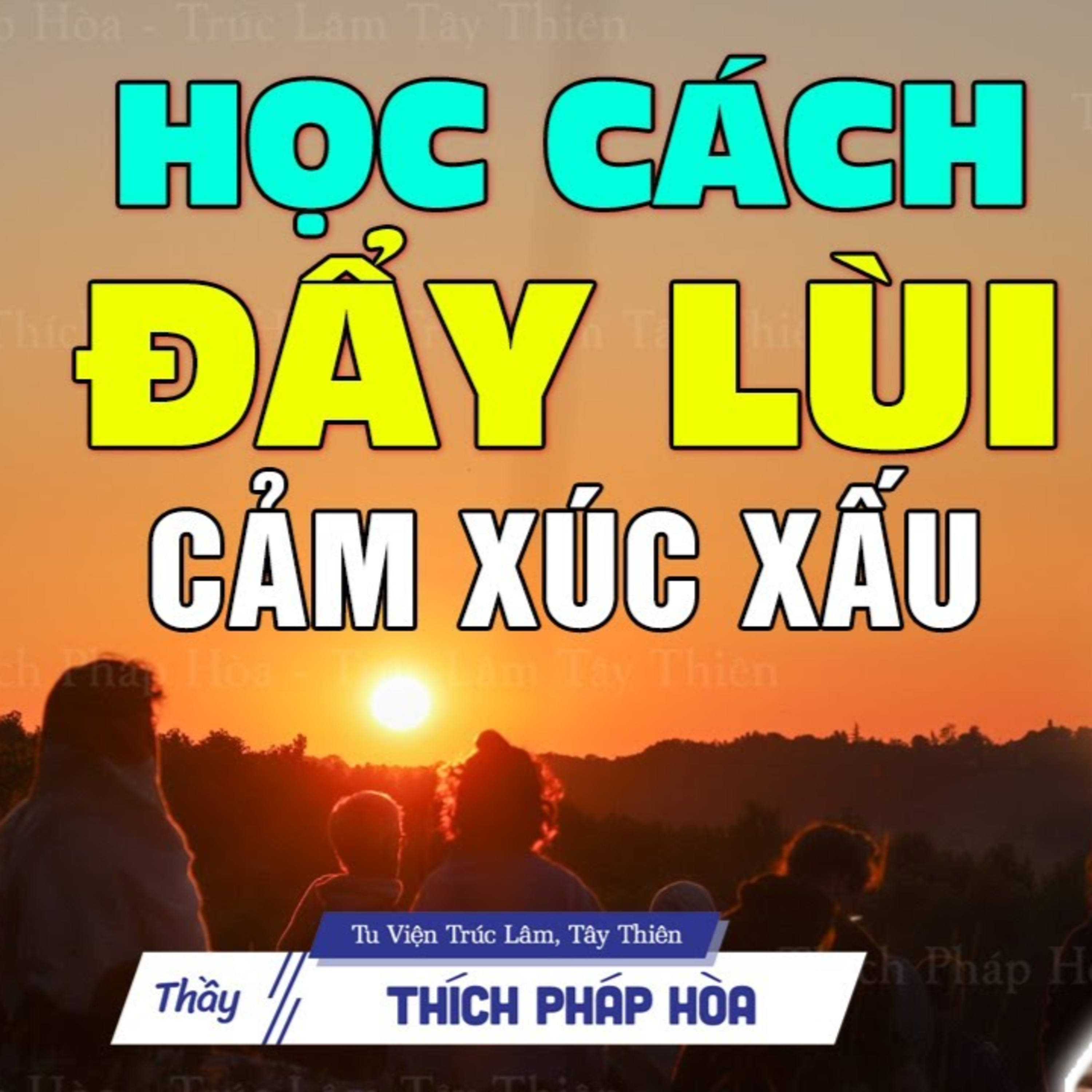 Học cách đẩy lùi những cảm xúc xấu - Thầy Thích Pháp Hòa