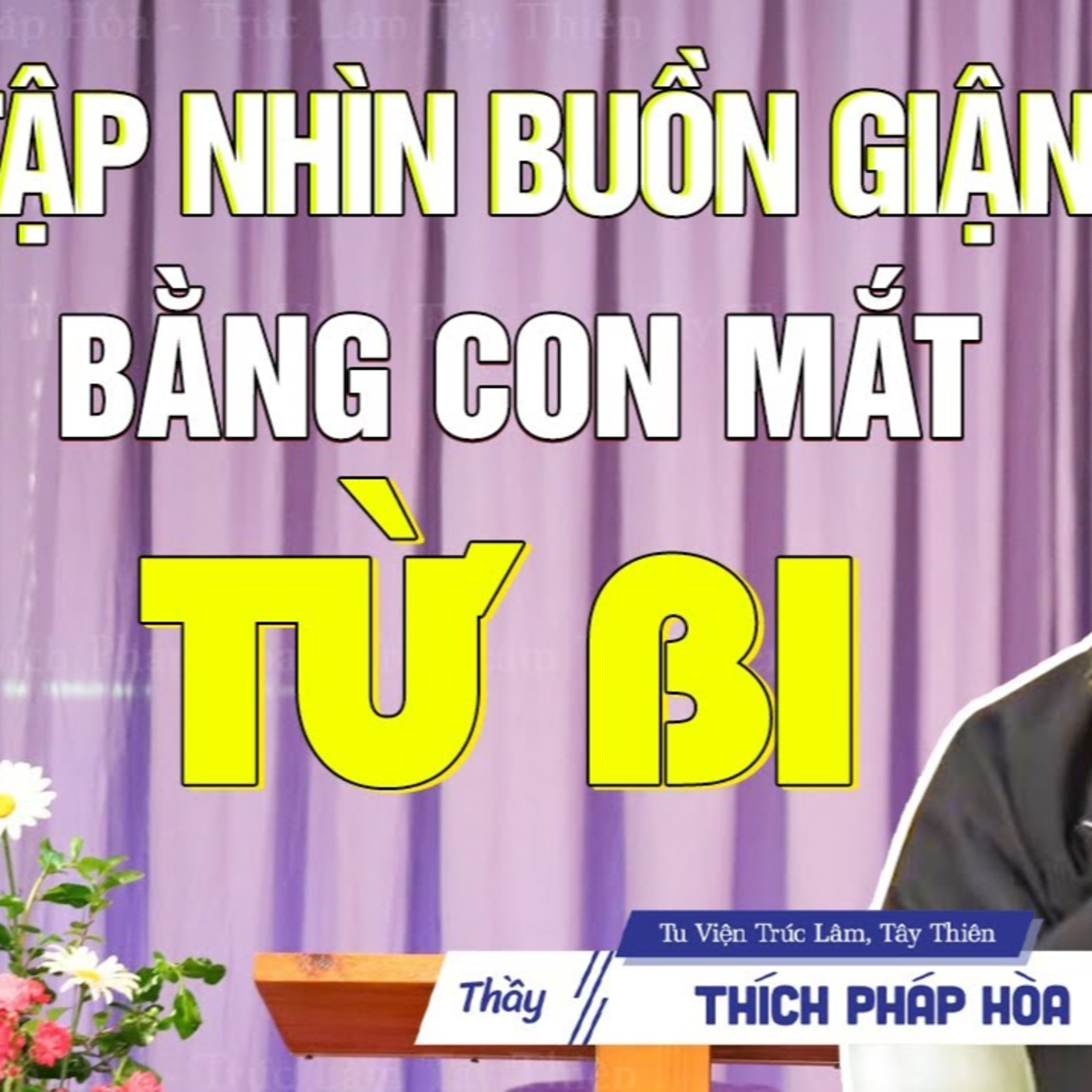Tập nhìn buồn, giận bằng con mắt từ bi - Thầy Thích Pháp Hòa