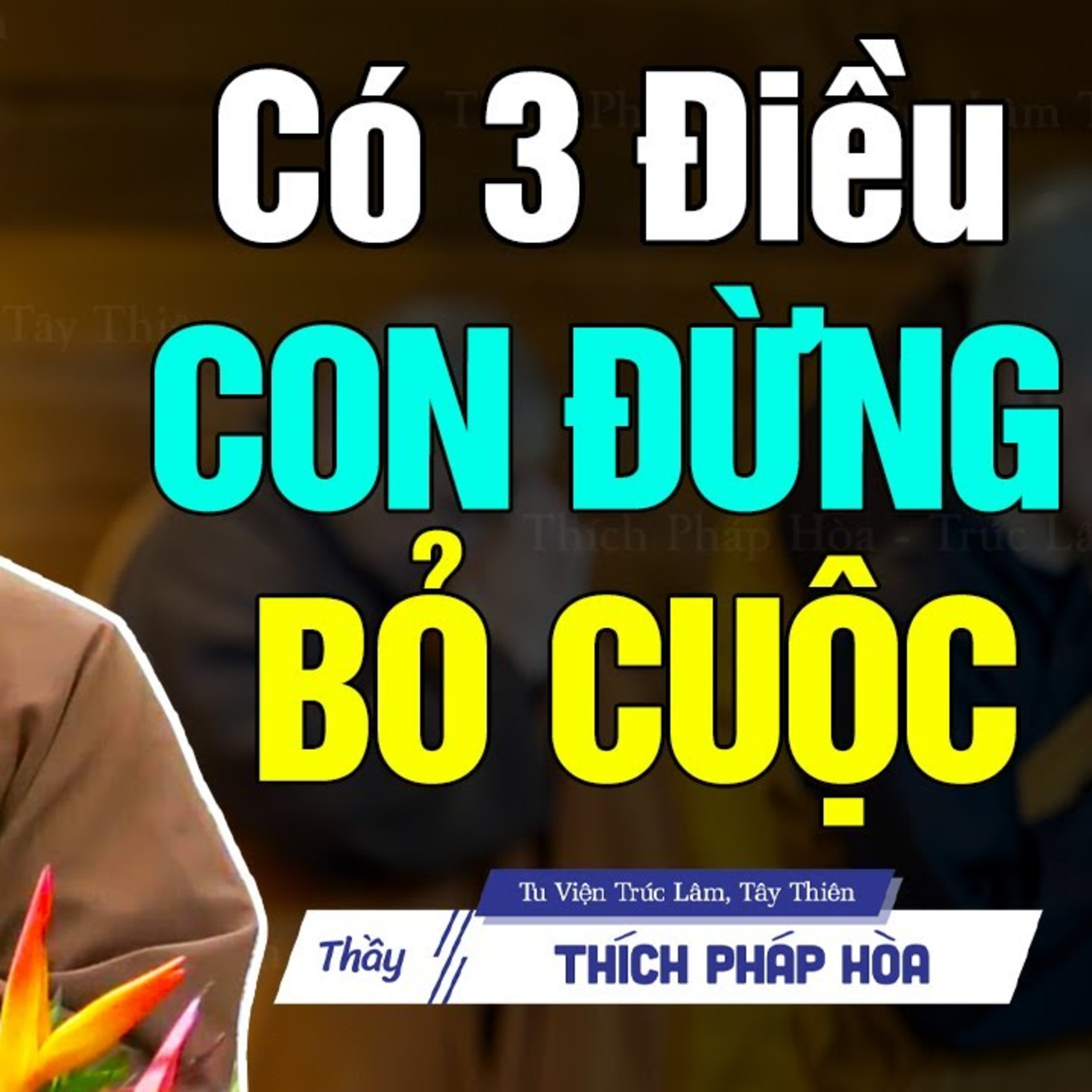 Có 3 điều đừng bao giờ bỏ cuộc - Thầy Thích Pháp Hòa