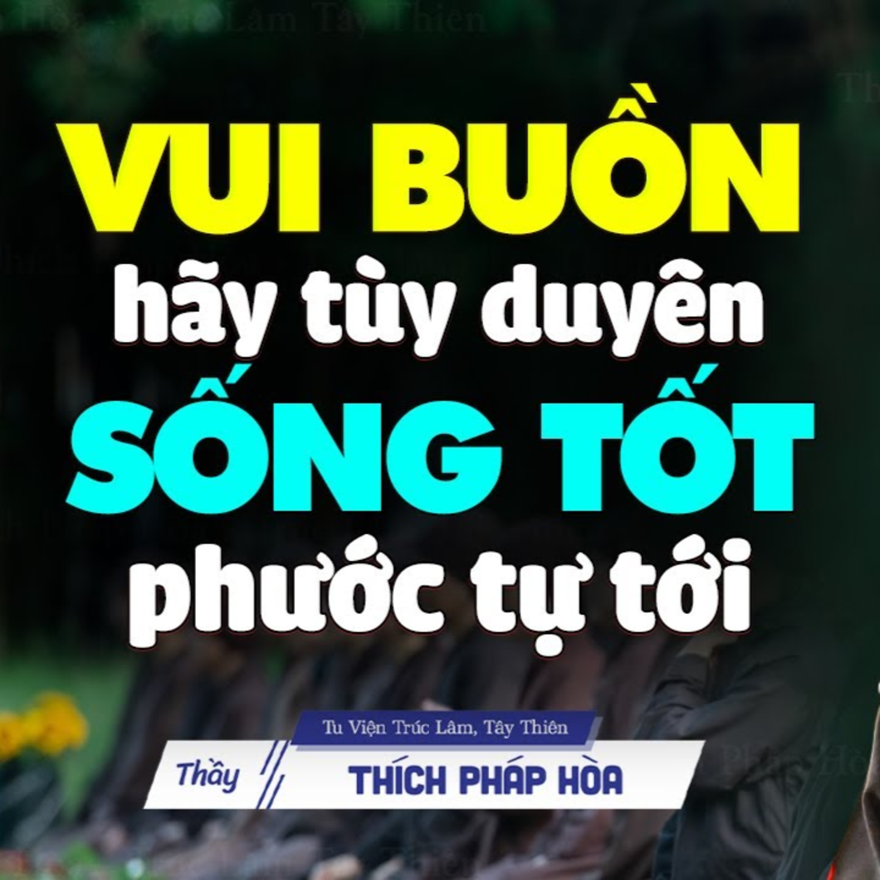 Pháp Thoại Thích Pháp Hòa