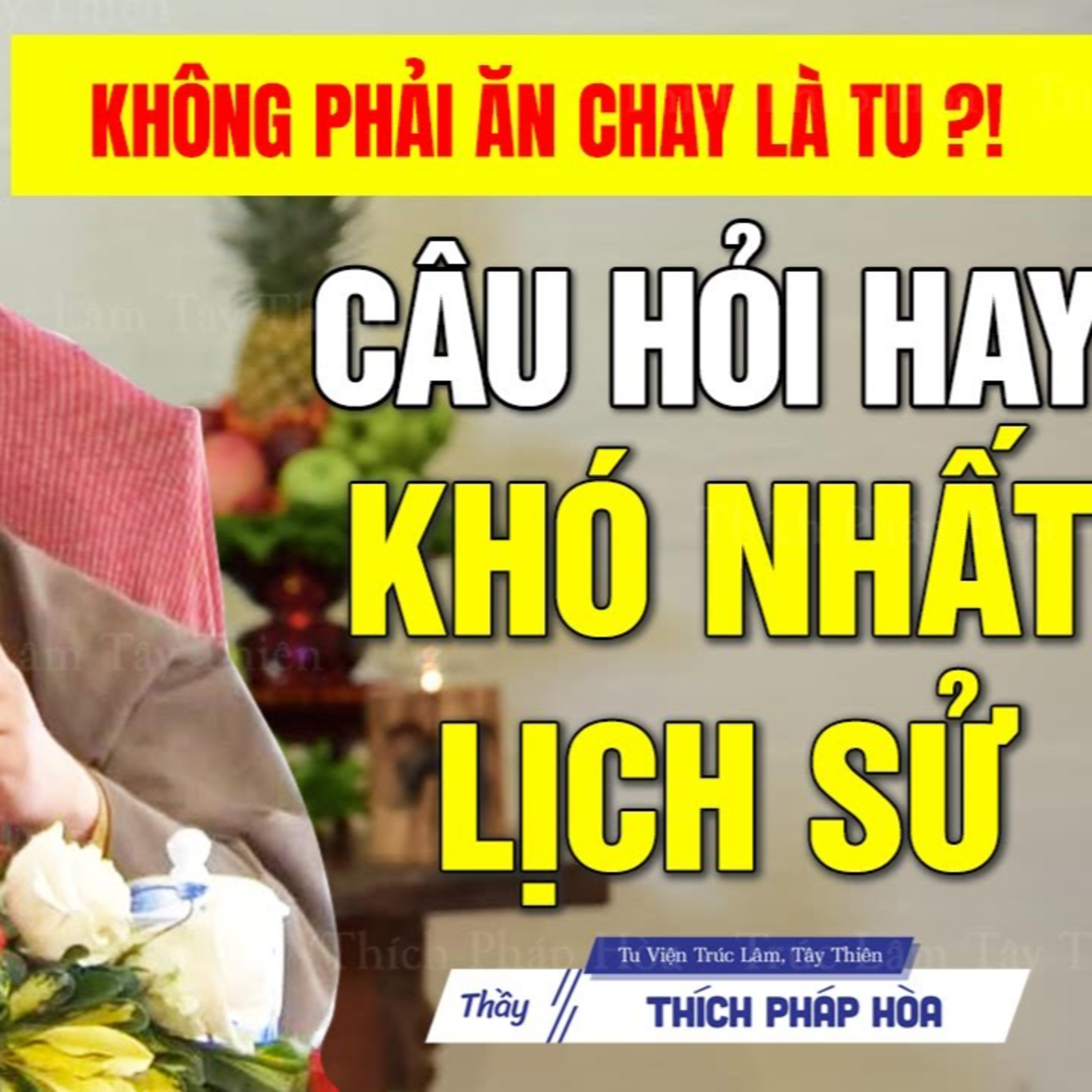 Không phải ĂN CHAY là Tu - Câu Hỏi Vấn Đáp Thâm Thúy Nhất Thầy Pháp Hòa từng gặp