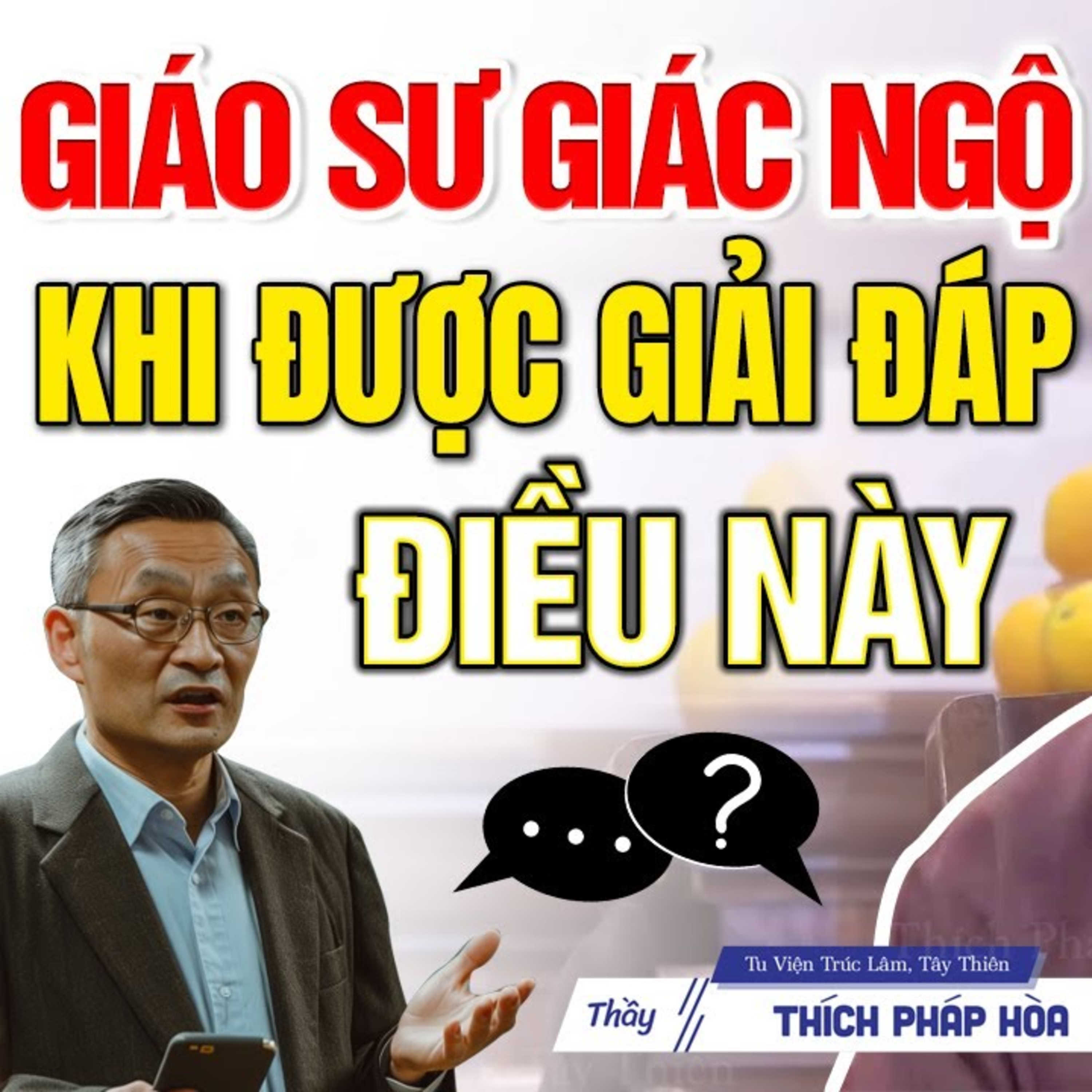 Vị giáo sư bị mất 2 người thân và ông được Giác Ngộ khi đến chùa hỏi câu này - Vấn Đáp Thầy Pháp Hòa