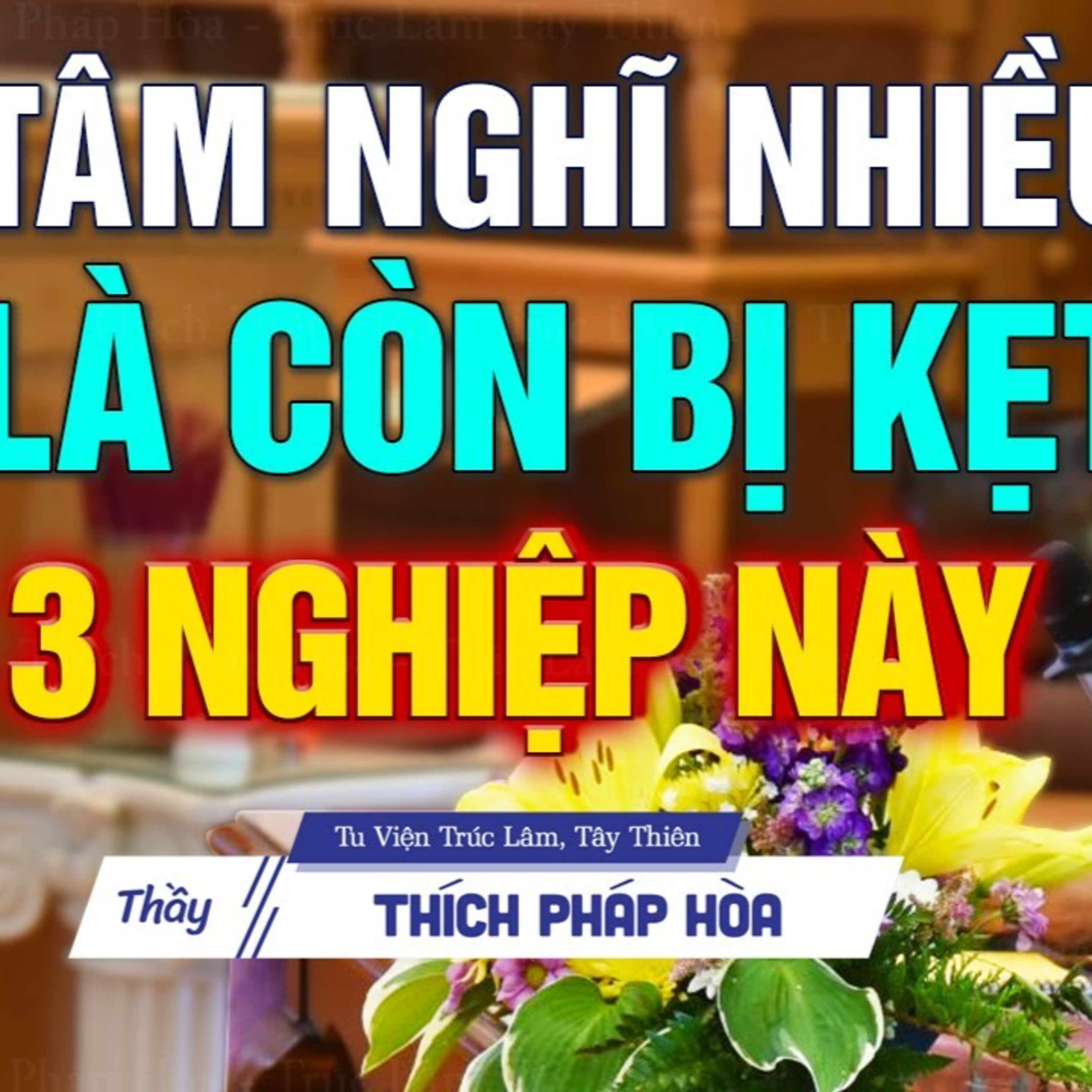 Người tâm hay loạn suy nghĩ lung tung là còn kẹt vào 3 nghiệp này - Thầy Thích Pháp Hòa