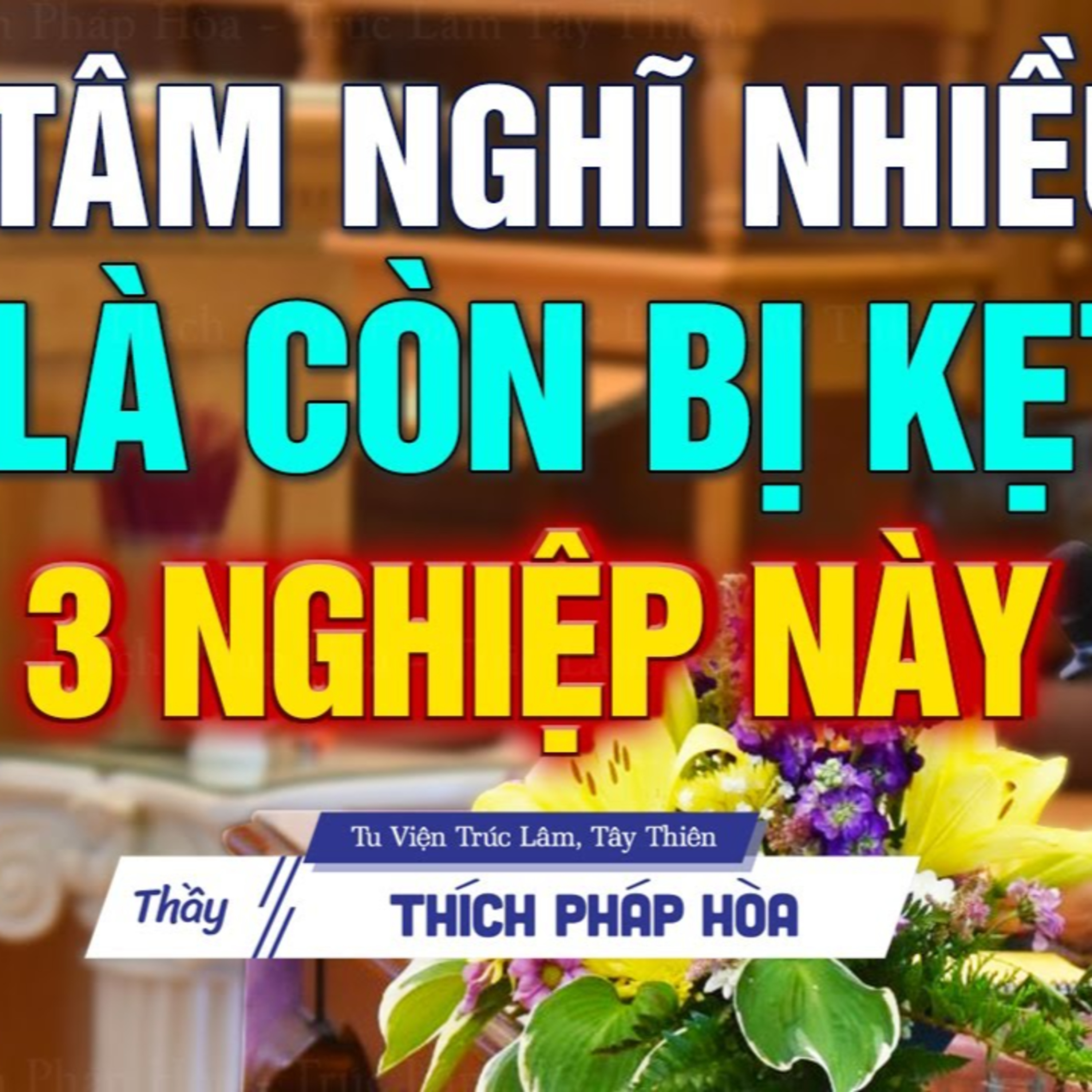 Người tâm hay loạn suy nghĩ lung tung là còn kẹt vào 3 nghiệp này - Thầy Thích Pháp Hòa