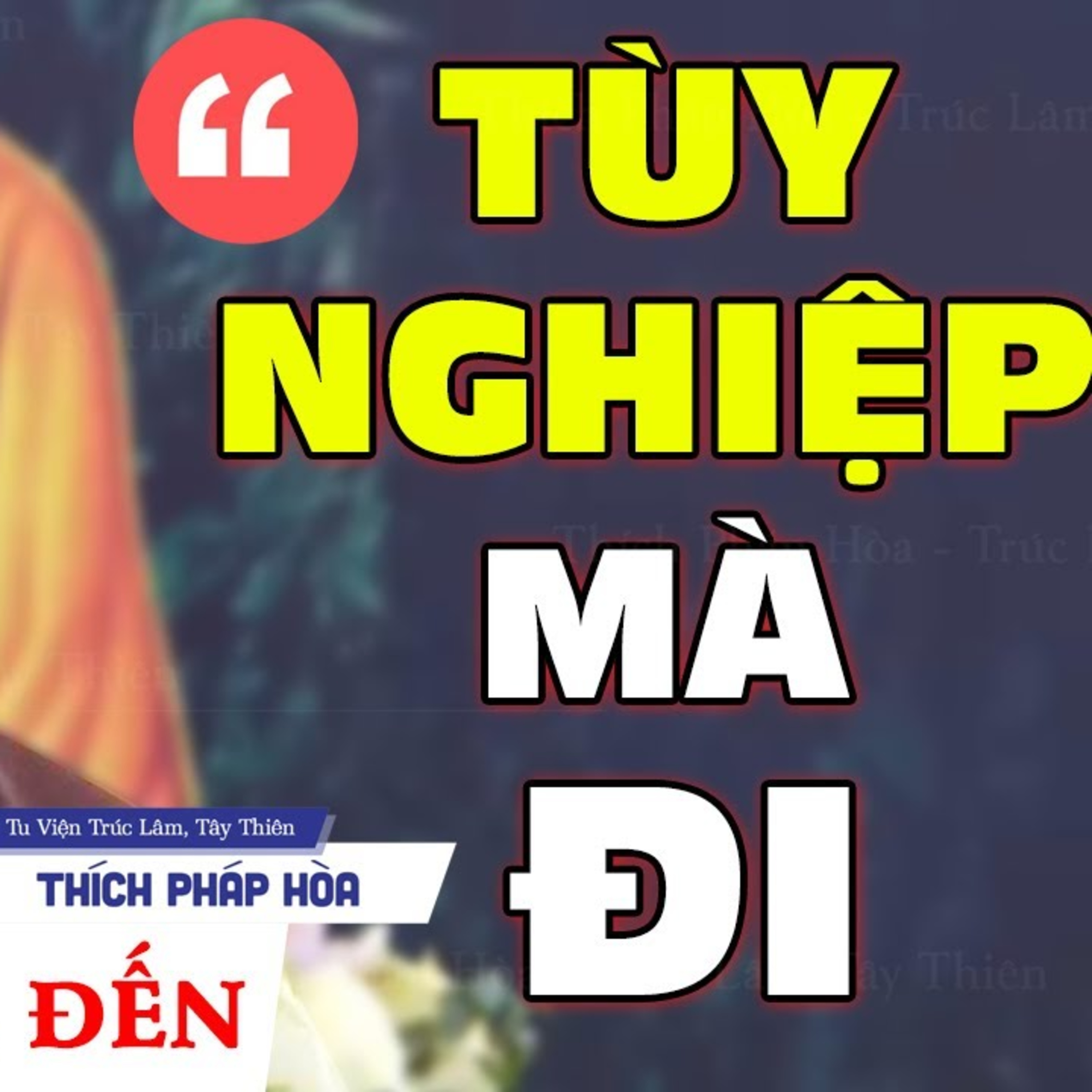 Tùy nghiệp mà đi - Vấn Đáp Thầy Pháp Hòa (sâu sắc - ý nghĩa)