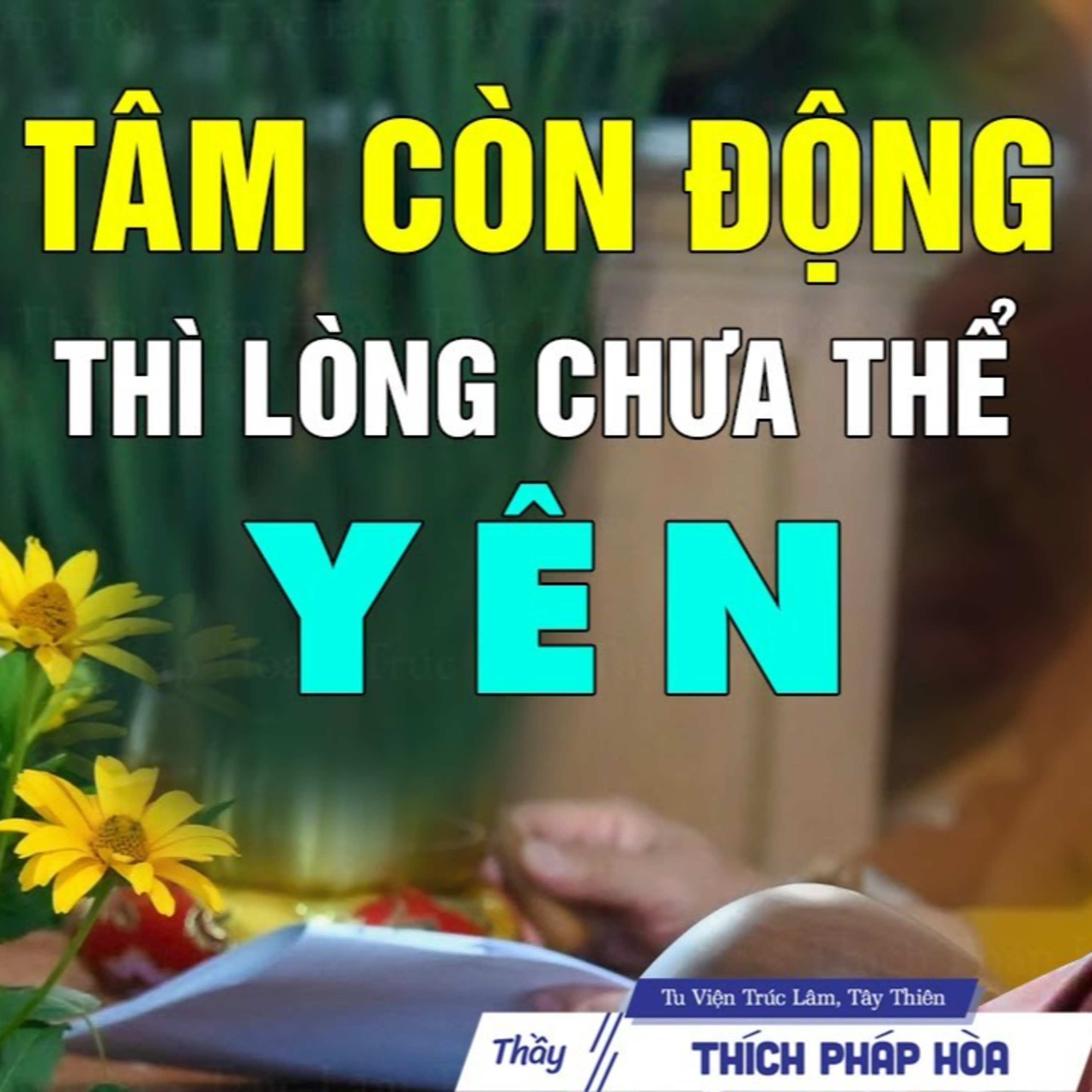 Tâm còn động thì lòng chưa thể yên - Thầy Thích Pháp Hòa