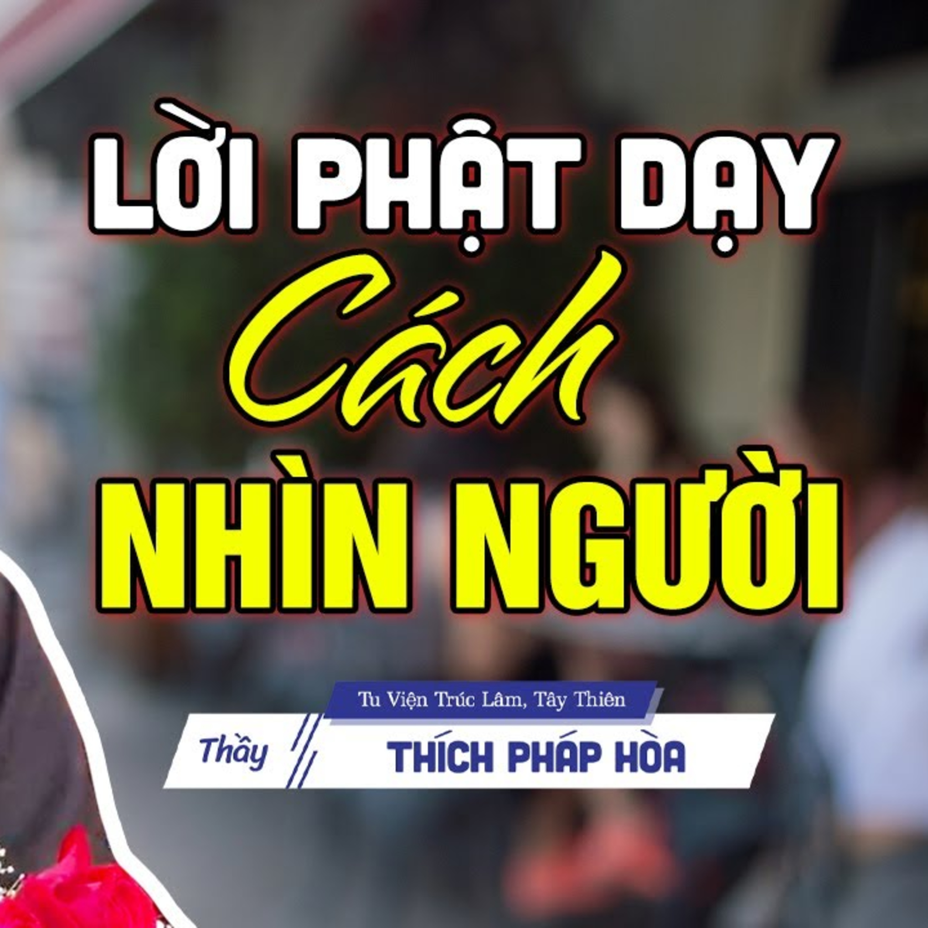 Biết nhìn người - Thầy Thích Pháp Hòa