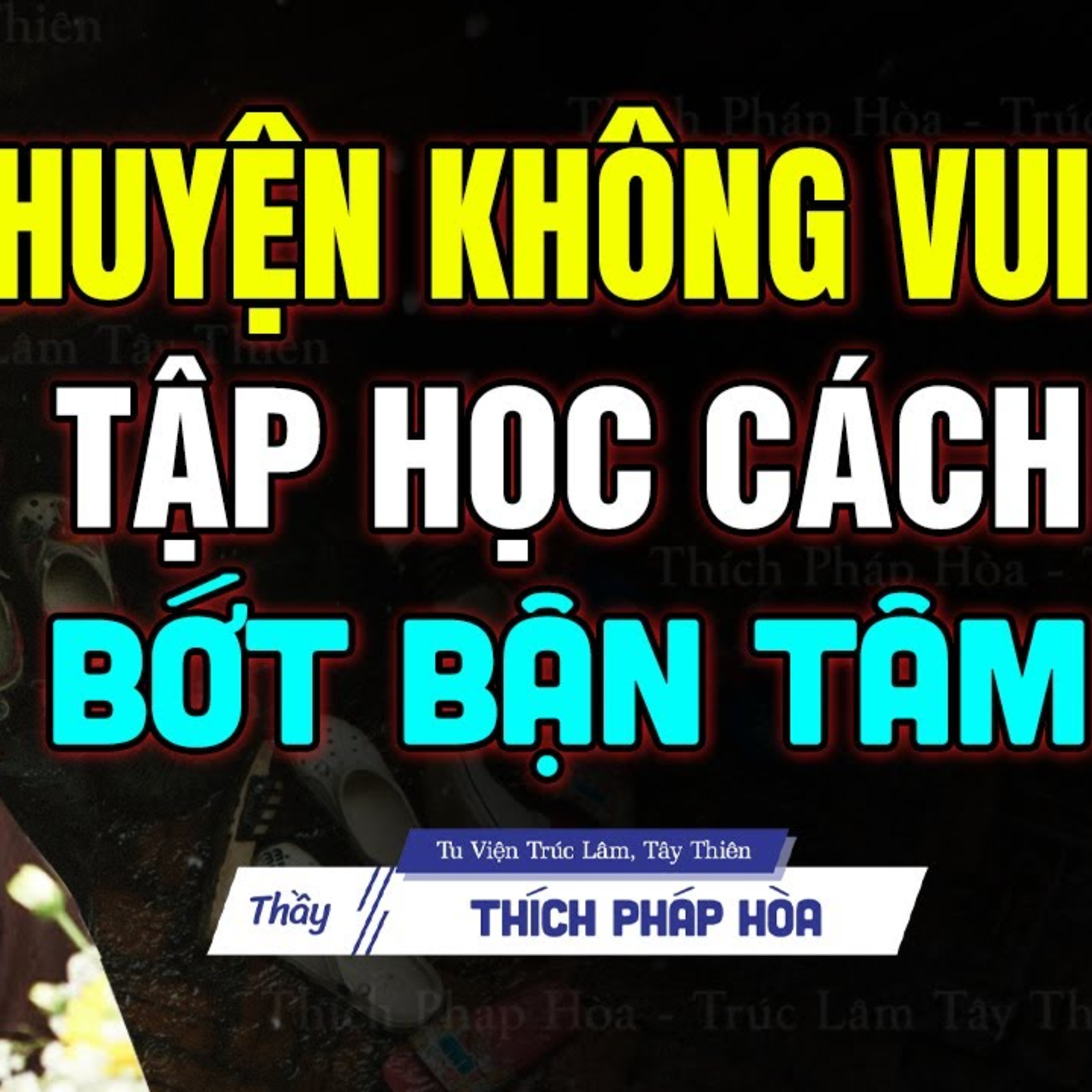 Những chuyện không vui con hãy học cách Bớt Bận Tâm - Thầy Thích Pháp Hòa