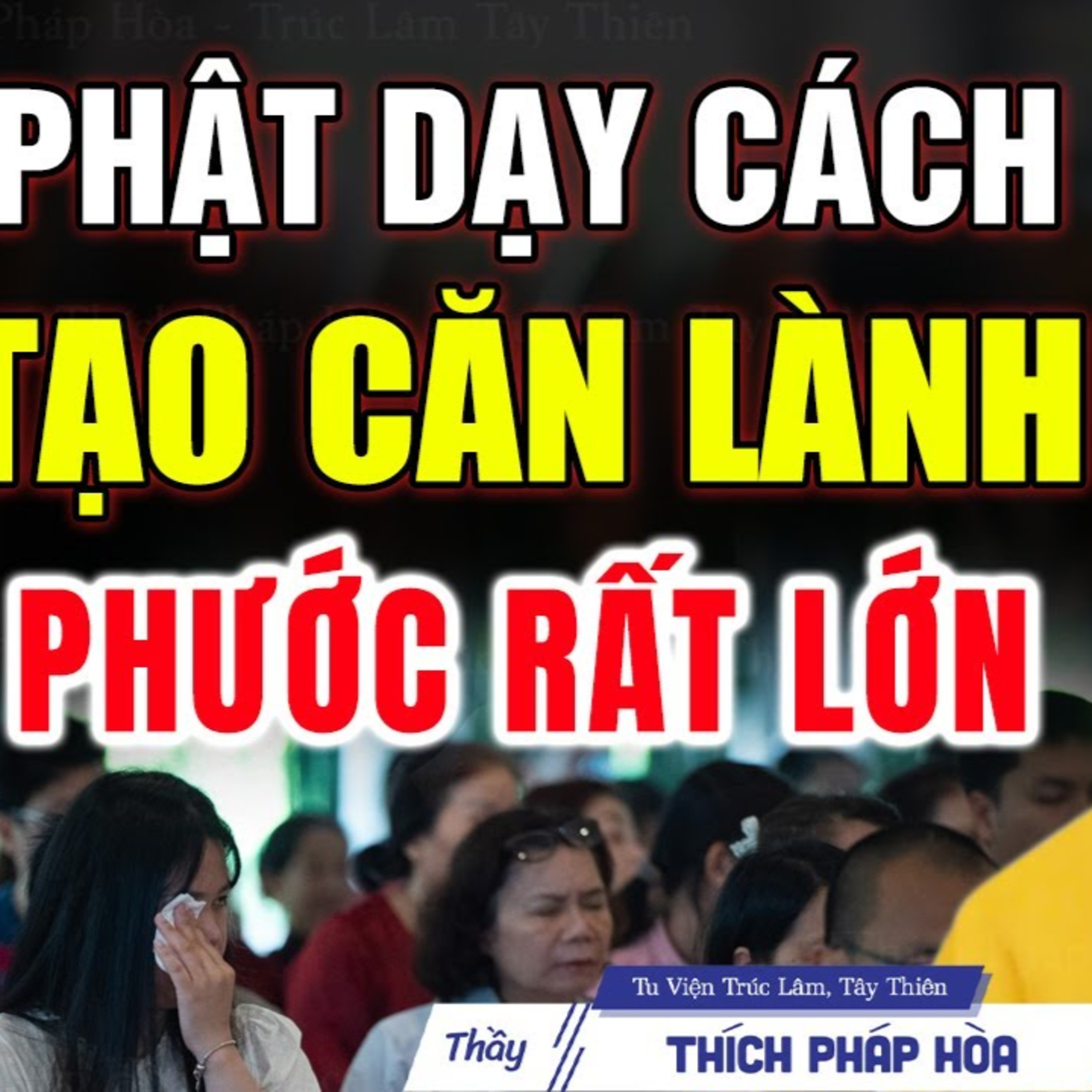 Lời Phật Dạy cách tạo căn lành chuyển nghiệp rất nhanh - Thầy Thích Pháp Hòa