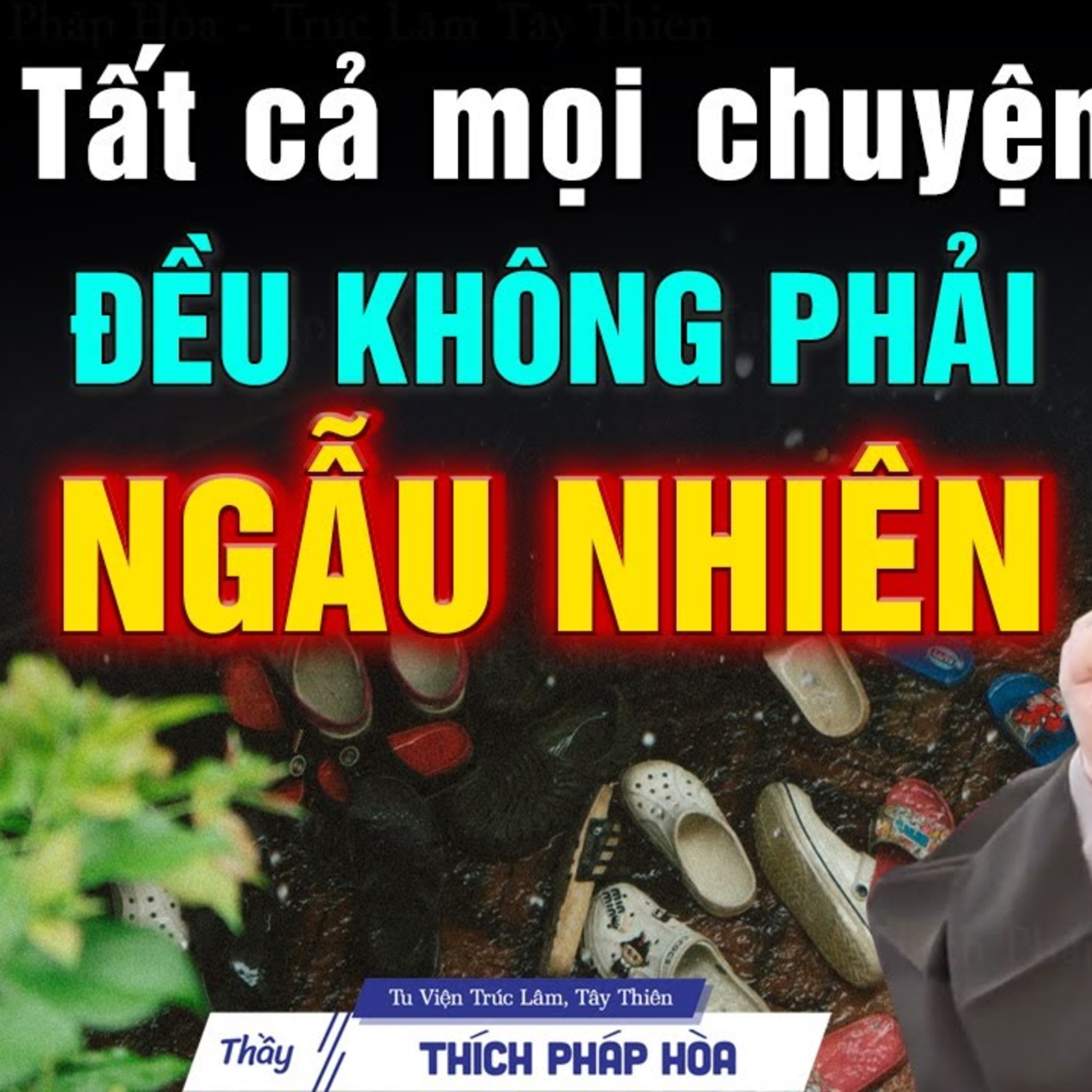 Mọi mối quan hệ đều là Nhân Quả, tất cả mọi chuyện đều không phải ngẫu nhiên - Thầy Thích Pháp Hòa