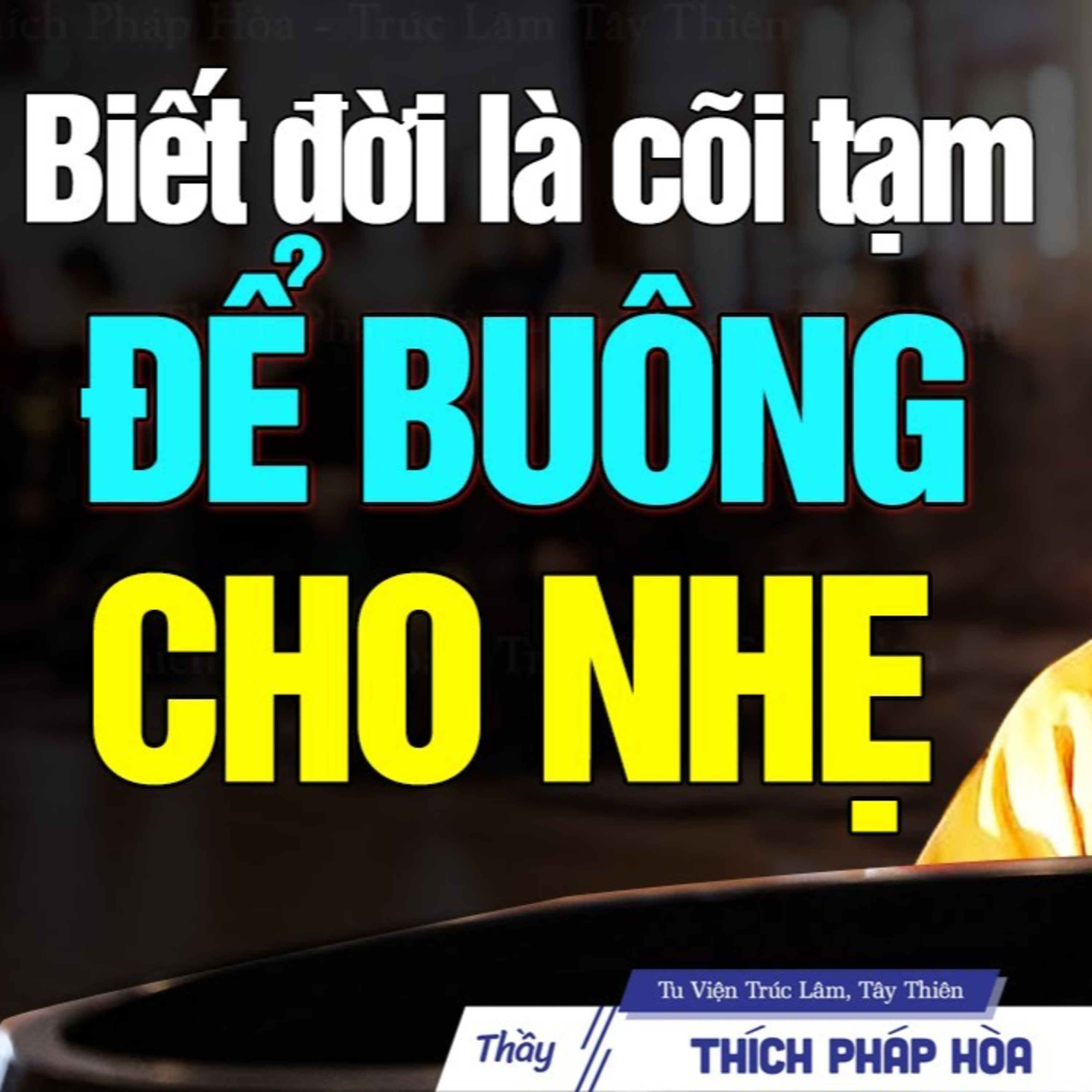 Pháp Thoại Thích Pháp Hòa