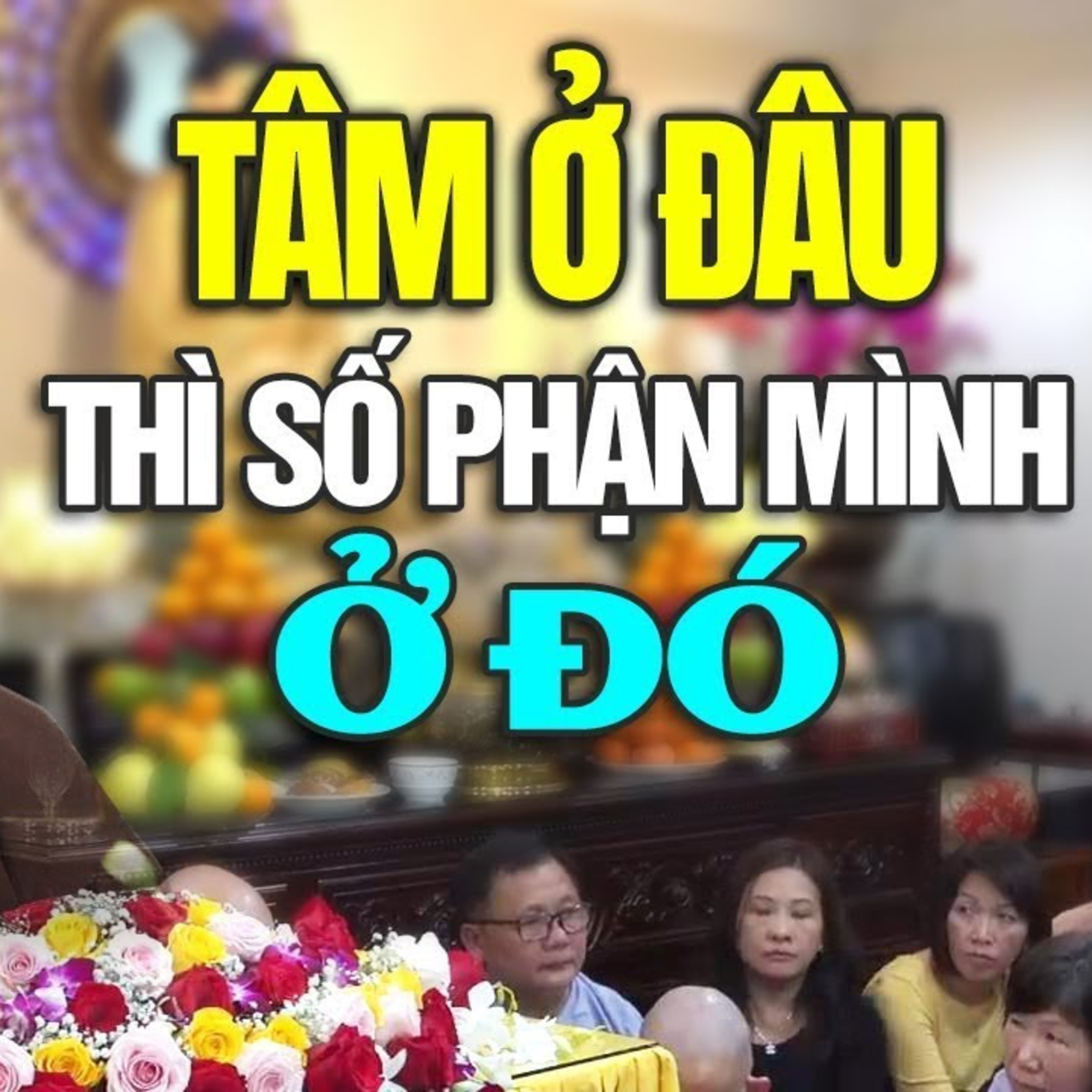 Tâm ở đâu thì số mệnh mình ở đó - Thầy Thích Pháp Hòa