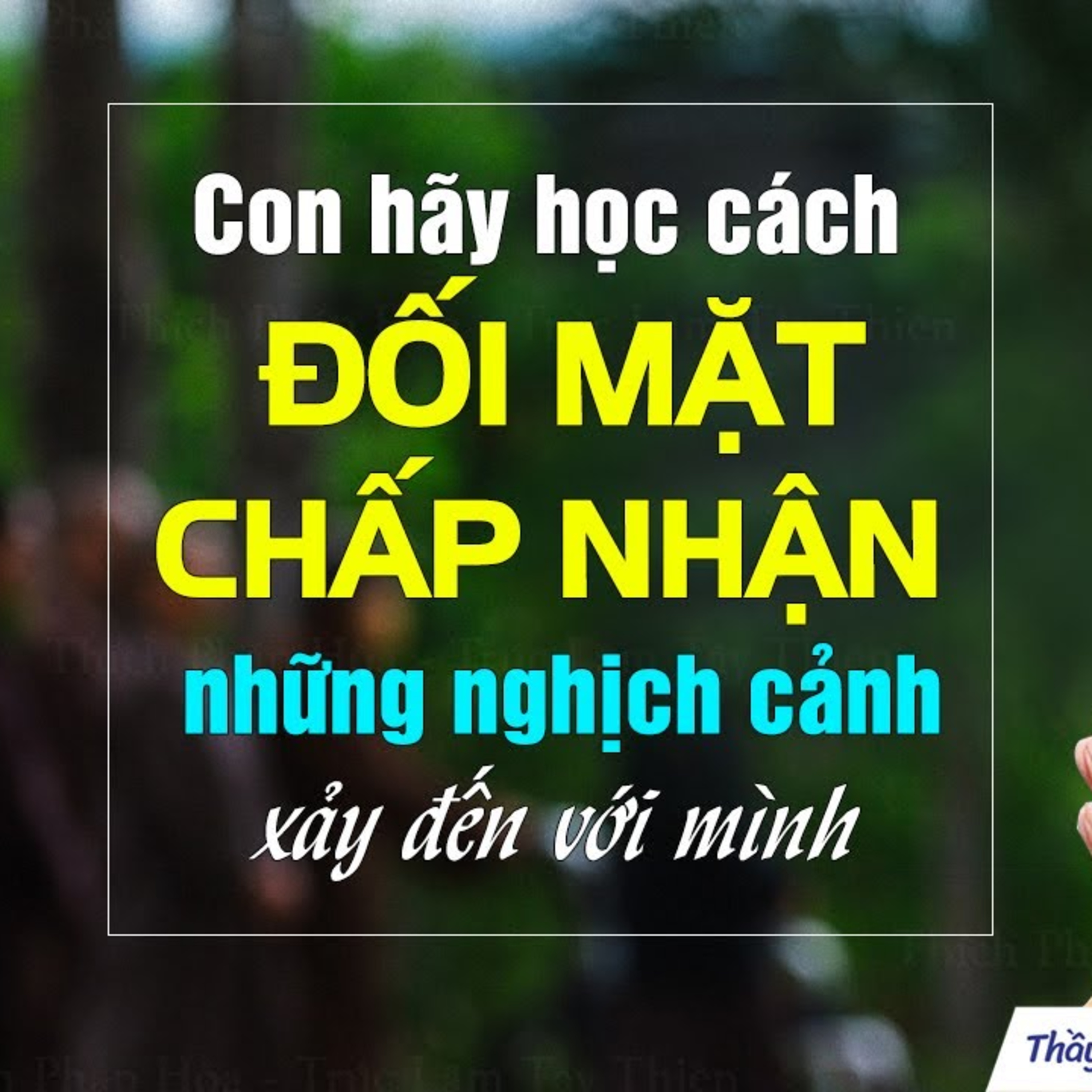 Học cách chấp nhận và đối mặt với những nghịch cảnh xảy đến với mình - Thầy Thích Pháp Hòa