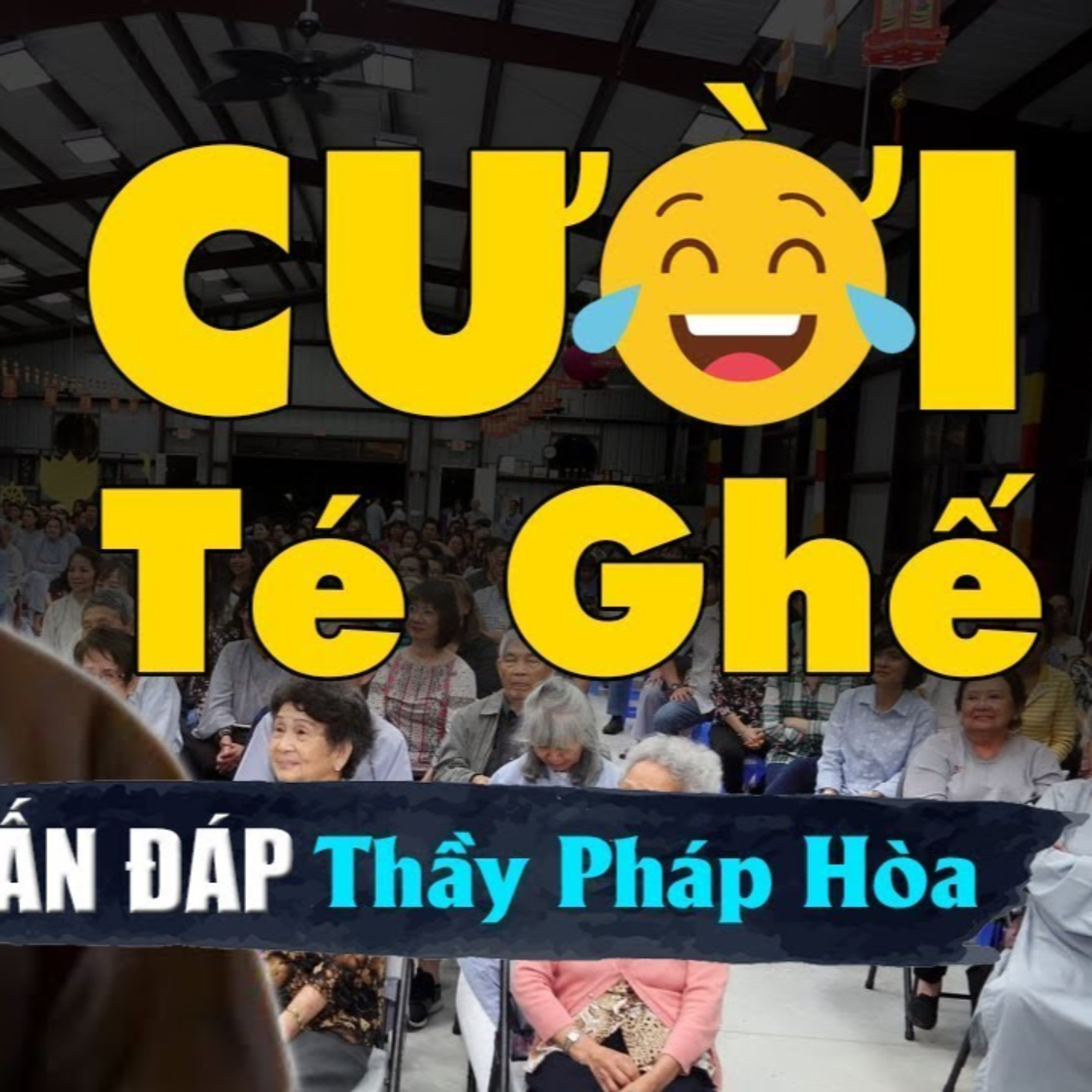 Thầy Pháp Hòa vấn đáp kể chuyện vui "Phật Tử nhờ lái xe dùm", cười xỉu Thầy quá vui tính duyên dáng