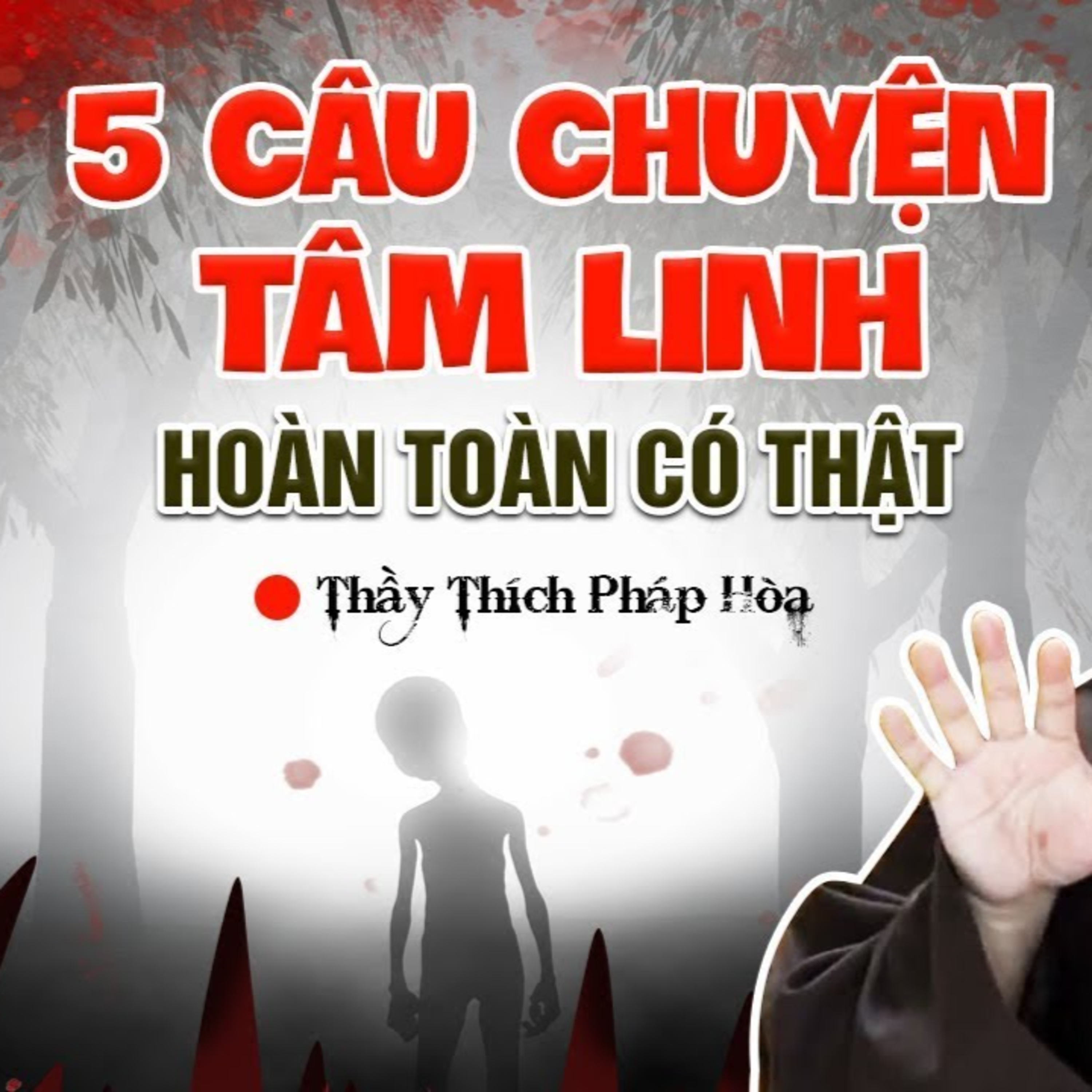 5 Câu Chuyện Tâm Linh Hoàn Toàn Có Thật trùng hợp đến khó tin - Vấn Đáp Thầy Thích Pháp Hòa