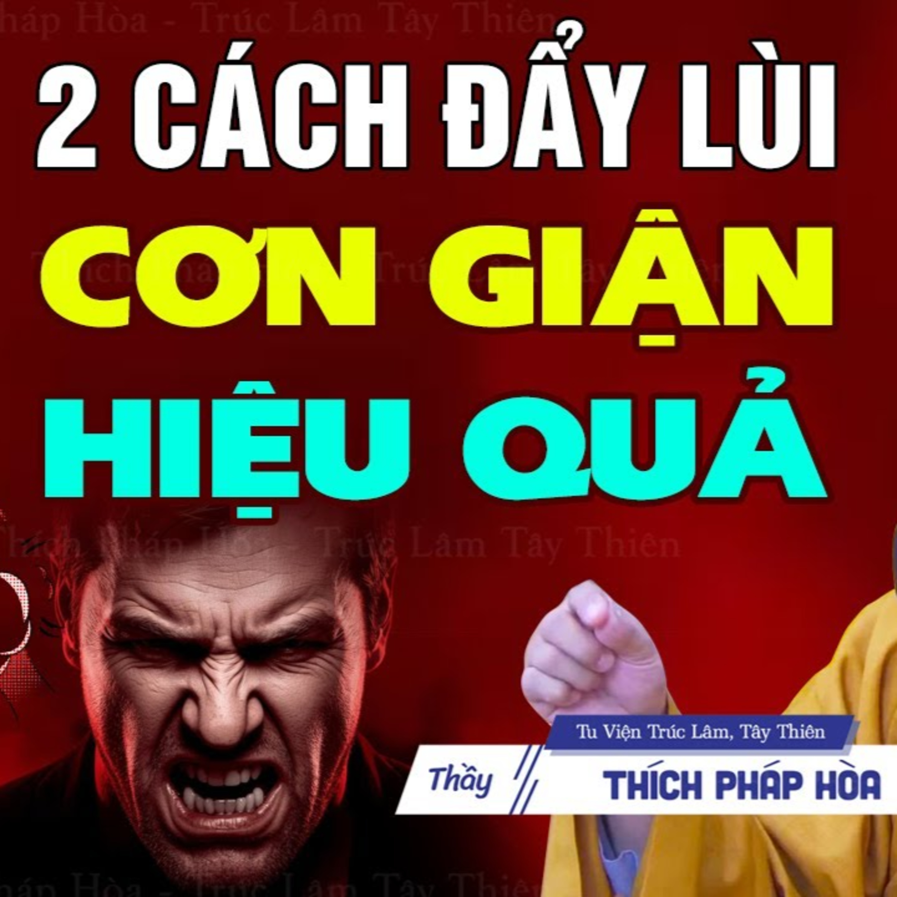 2 cách đẩy lùi cơn giận hiệu quả - Thầy Thích Pháp Hòa